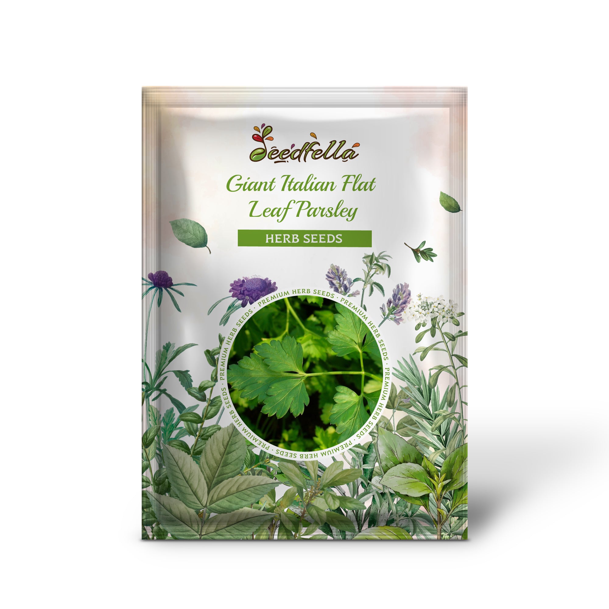 Italian parsley Non GMO herb seeds