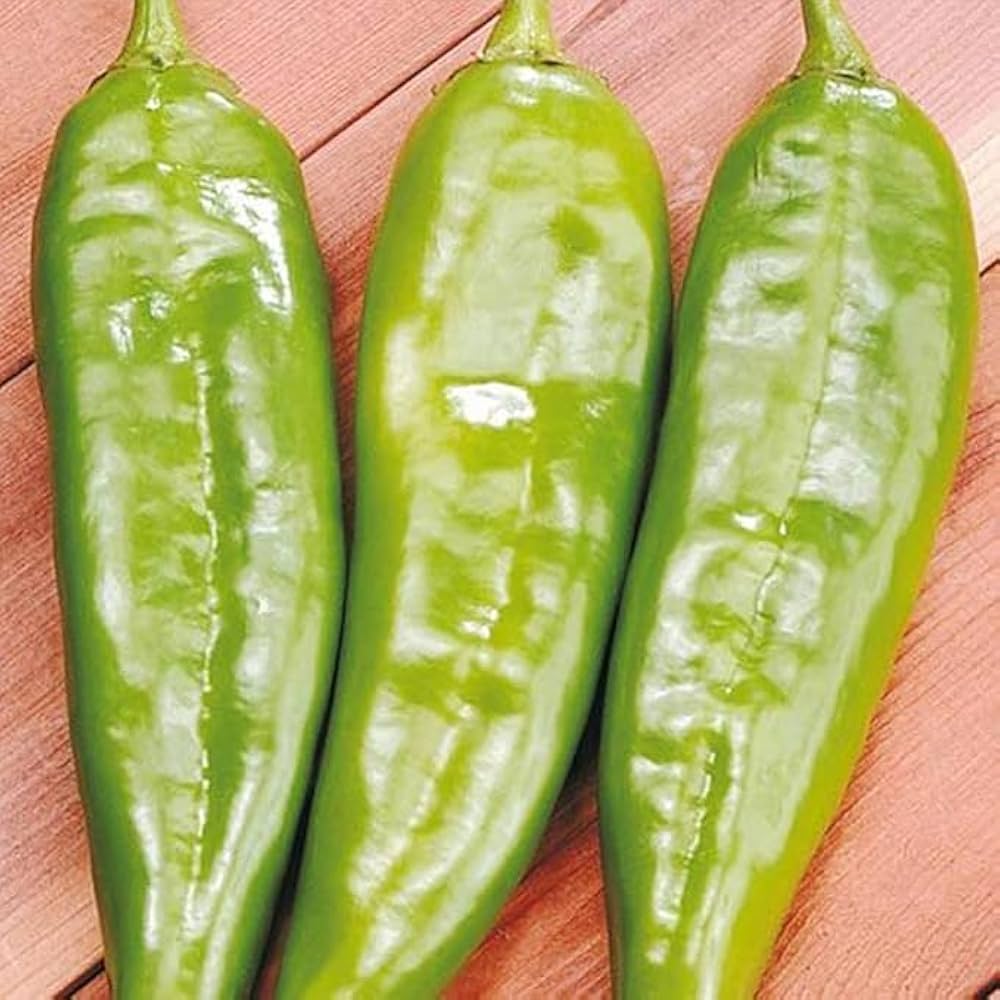 Italian Sweet Pepper seeds for home gardens