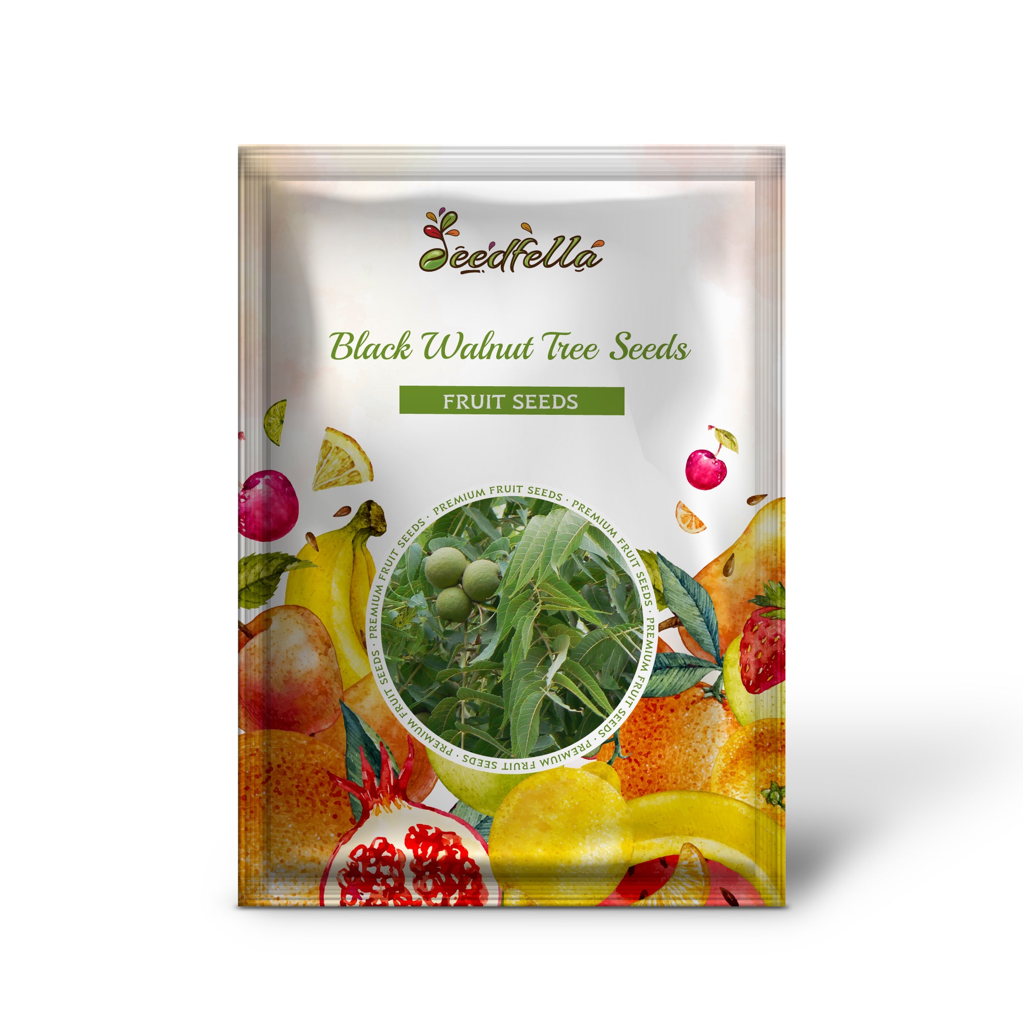 Juglans nigra black walnut seeds producing edible nuts closeup