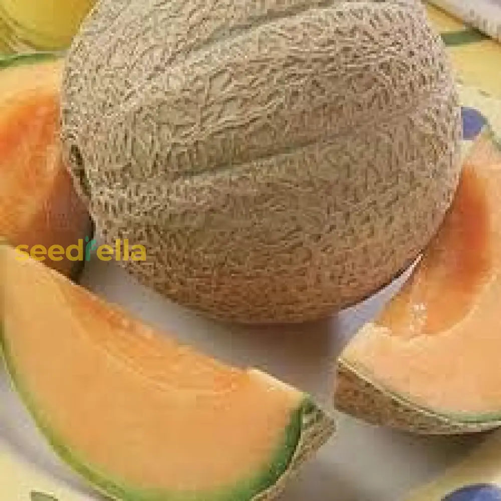 Juicy Light Orange Melon Seeds for Easy Planting