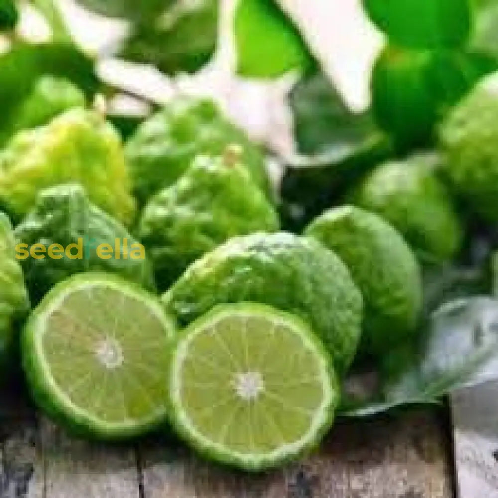 Kaffir Lime Seeds For Planting - Fresh Fruit Collection