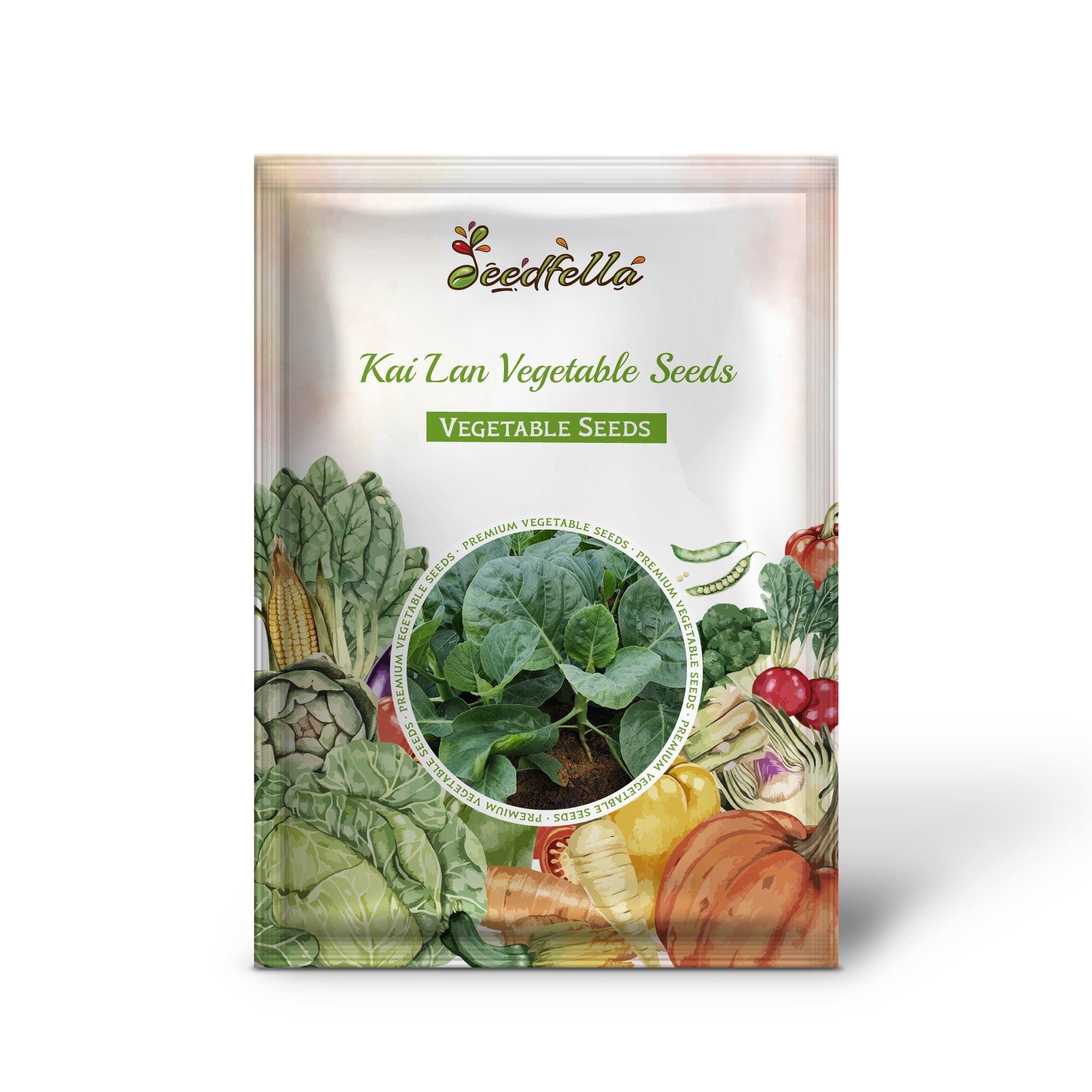 Kai Lan seedlings growing from high-quality seeds