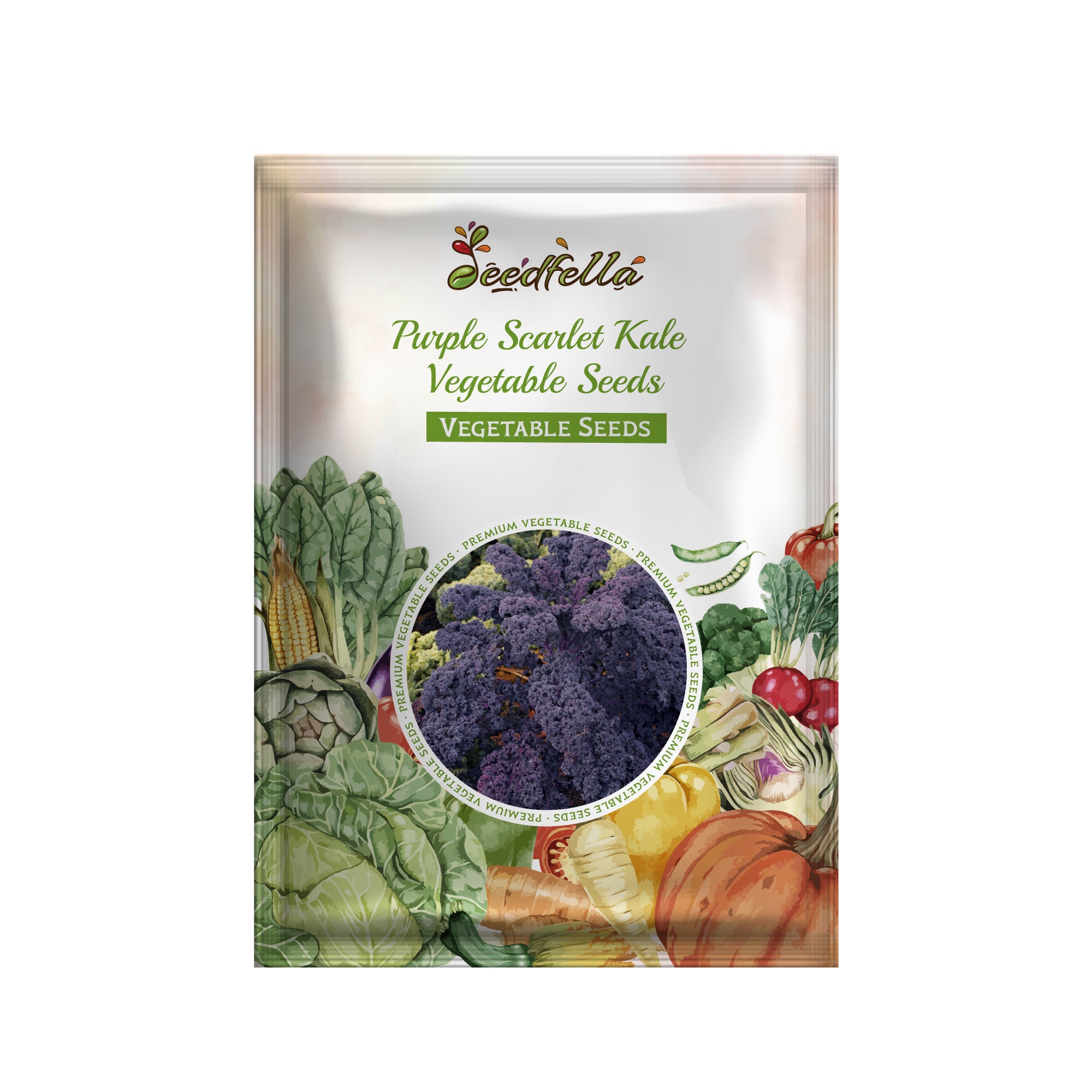 Kale seedlings growing in garden