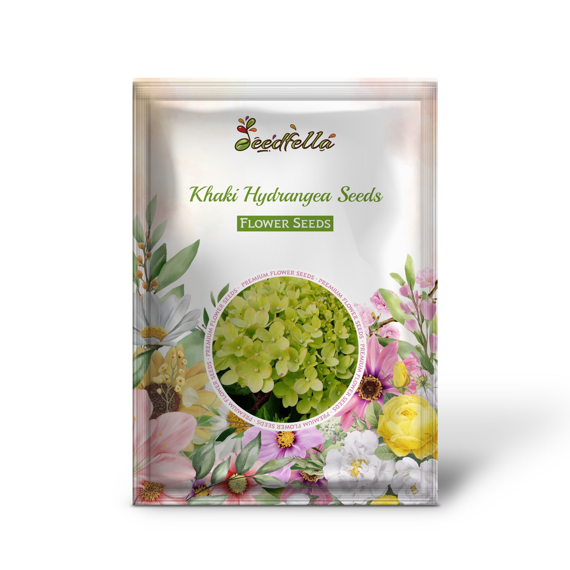 Non GMO Khaki Hydrangea seeds for home gardening
