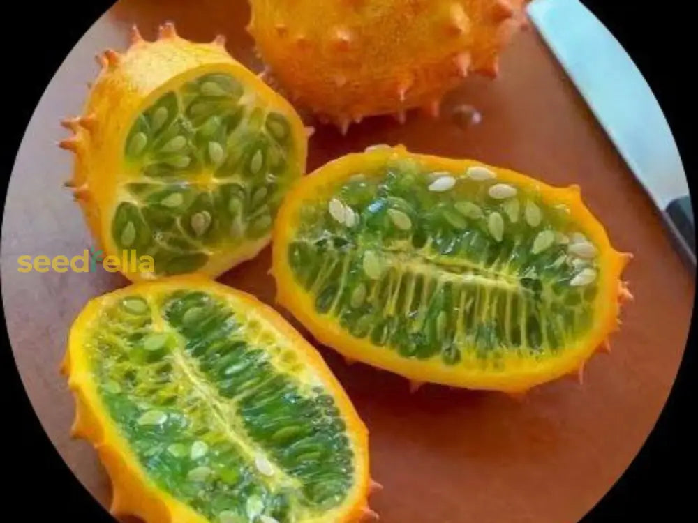 Kiwano Cucumis Seeds For Planting - Grow Exotic Fruit Vegetable Seeds