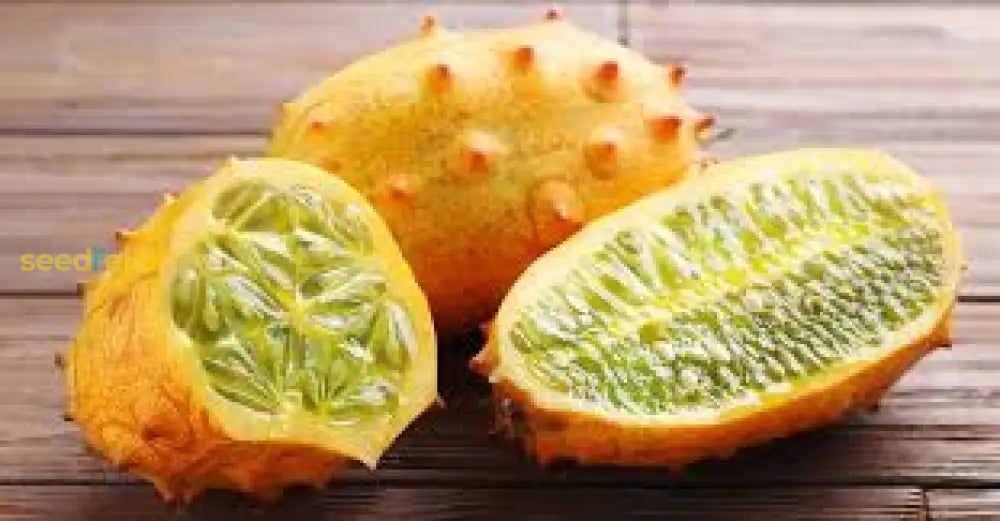 Kiwano plant seeds producing unique horned melons