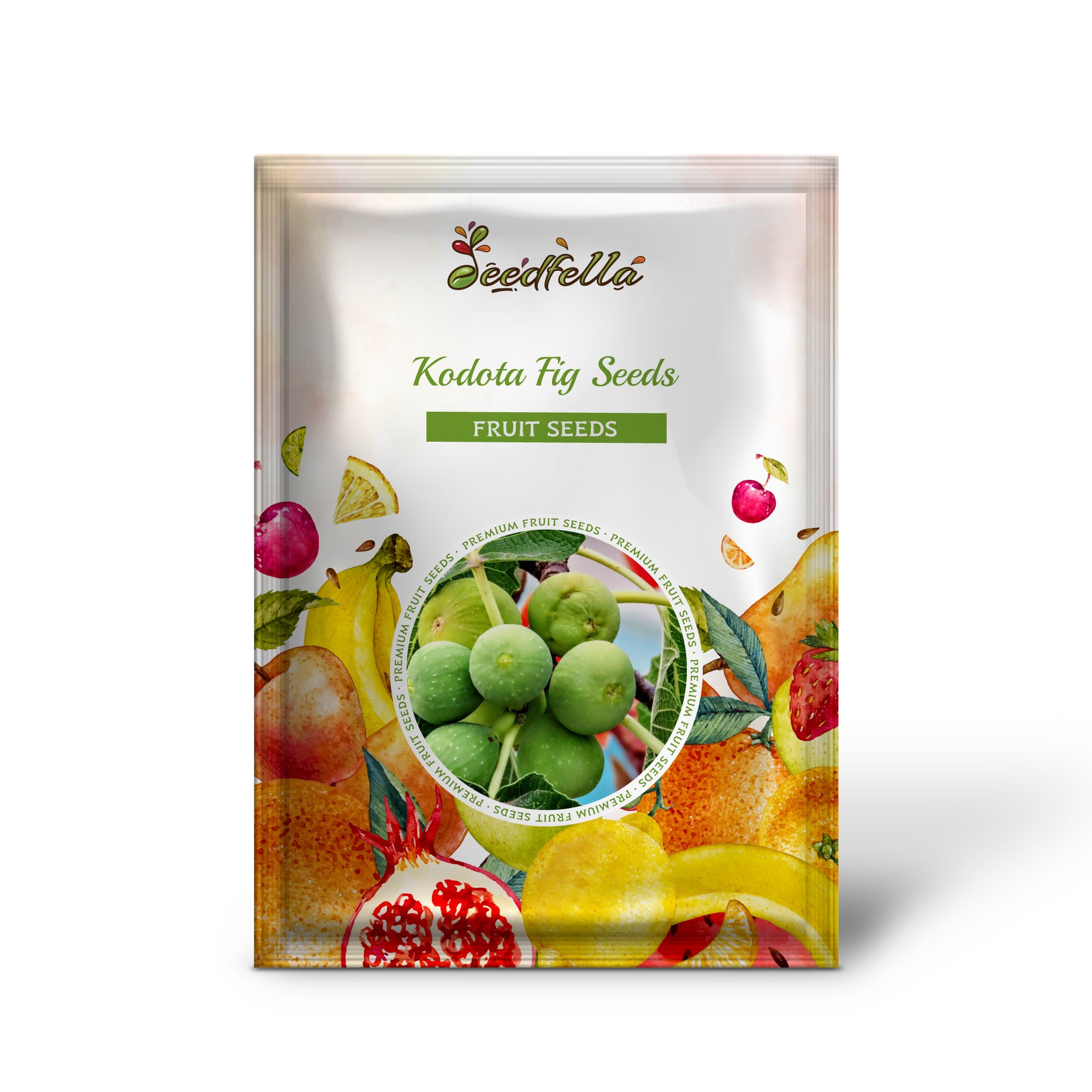 Harvested Kodota Figs, Fresh and Sweet Figs Ready for Eating