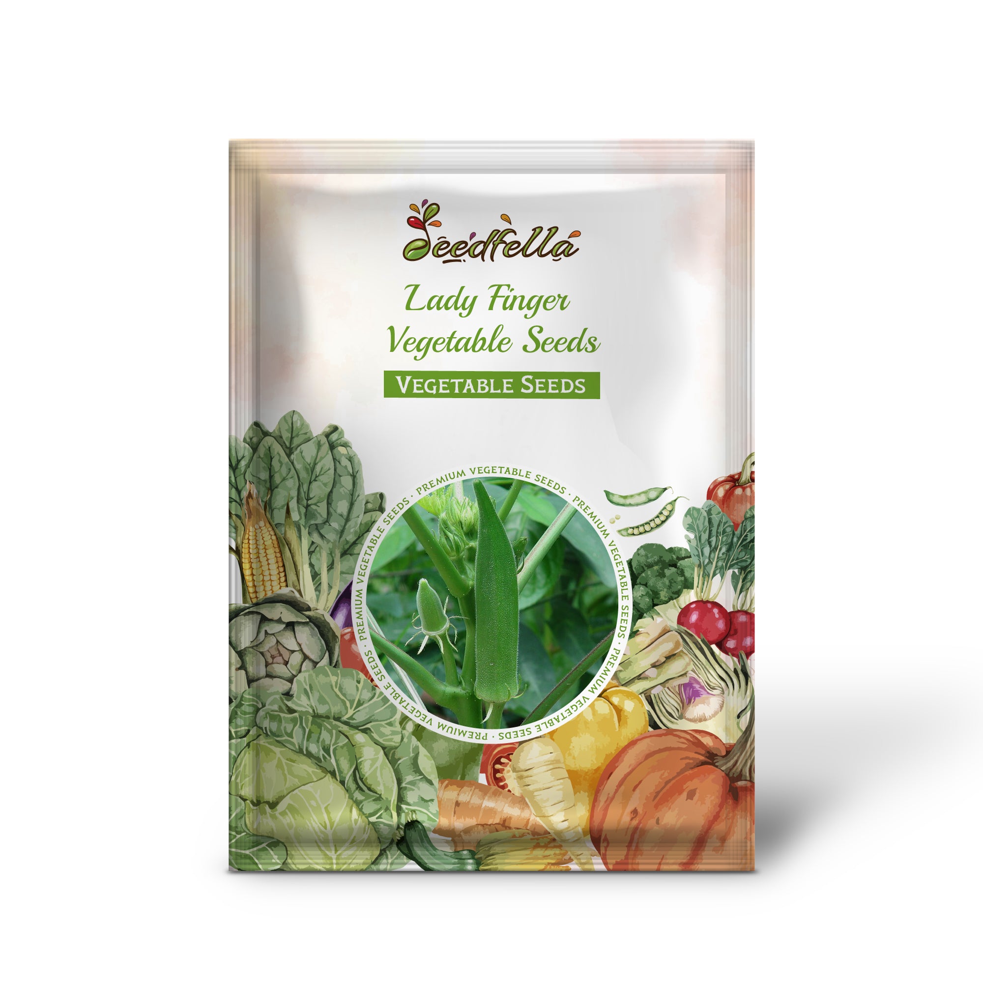 Healthy Lady Finger seedlings ready for transplanting