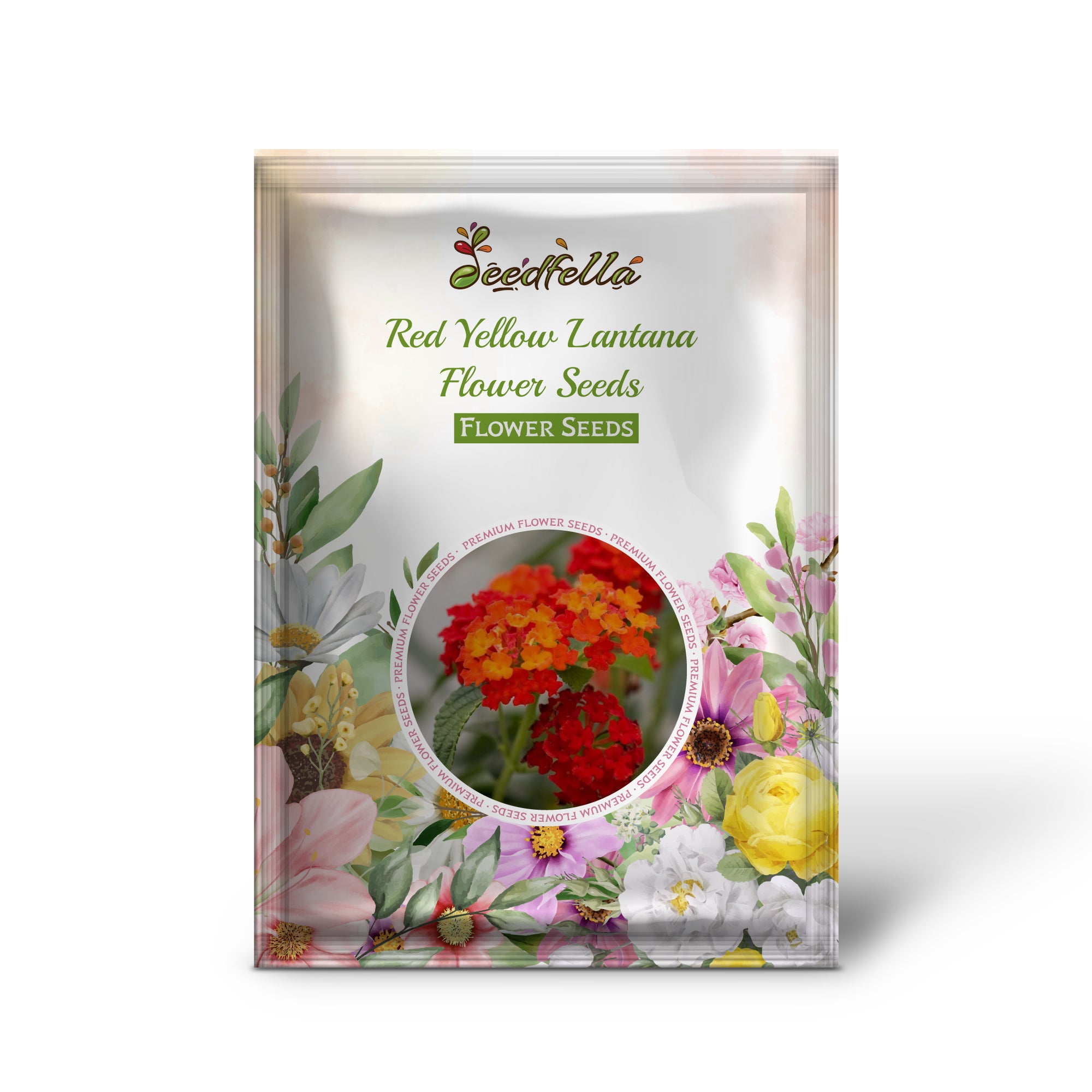 Lantana Red and Yellow Blooms in Garden