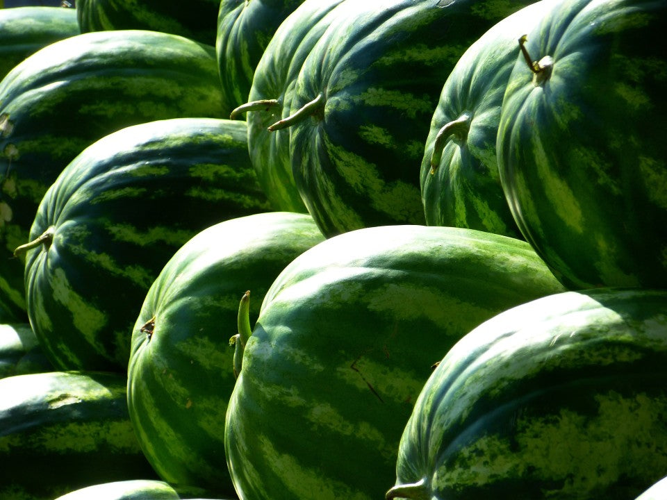 Large sweet watermelon seeds for summer gardening