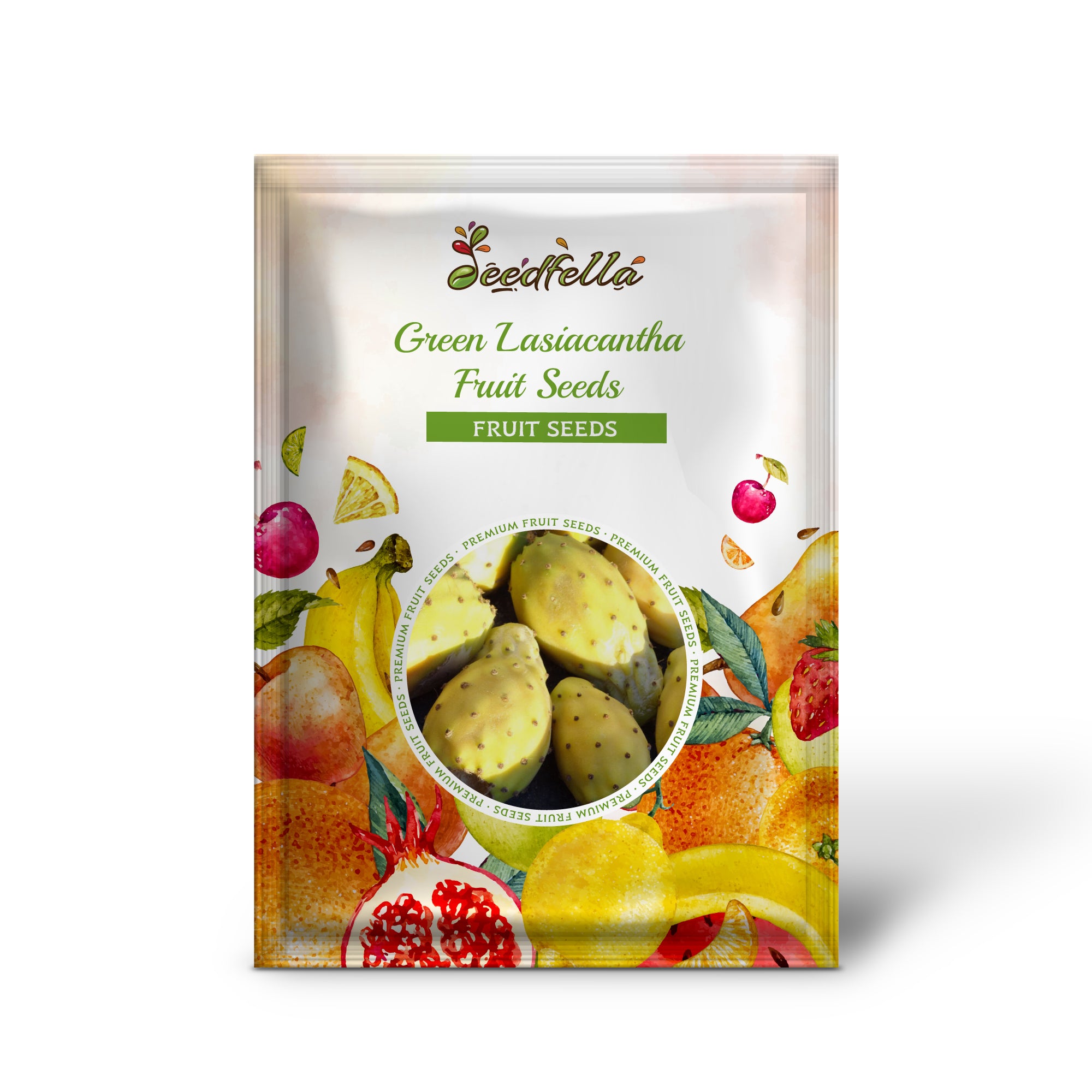 Lasiacantha Fruit Seeds for Home Garden Planting