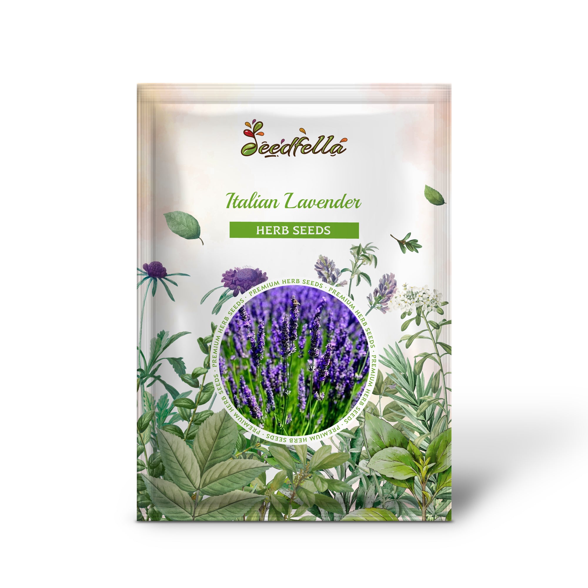 Premium Blue-Purple Italian Lavender Seed Pack for Garden
