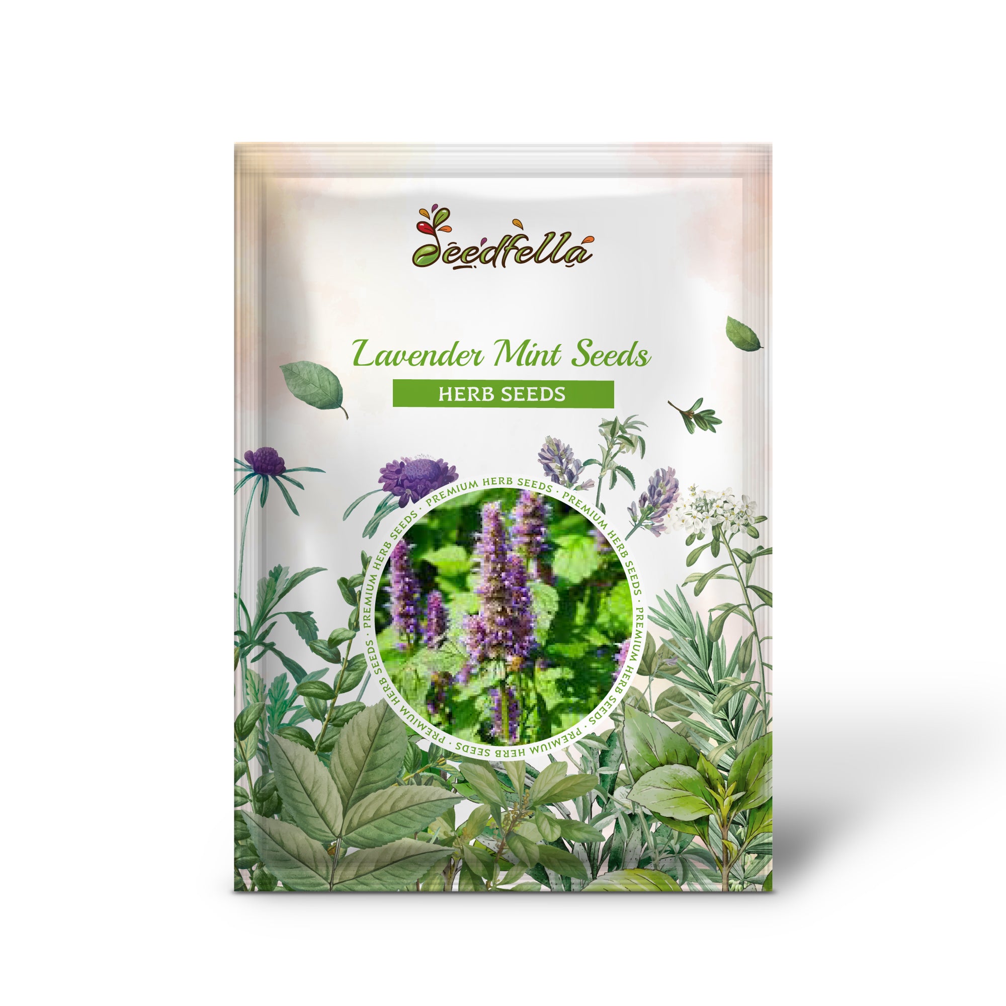 Non-GMO Lavender Mint Seeds Pack