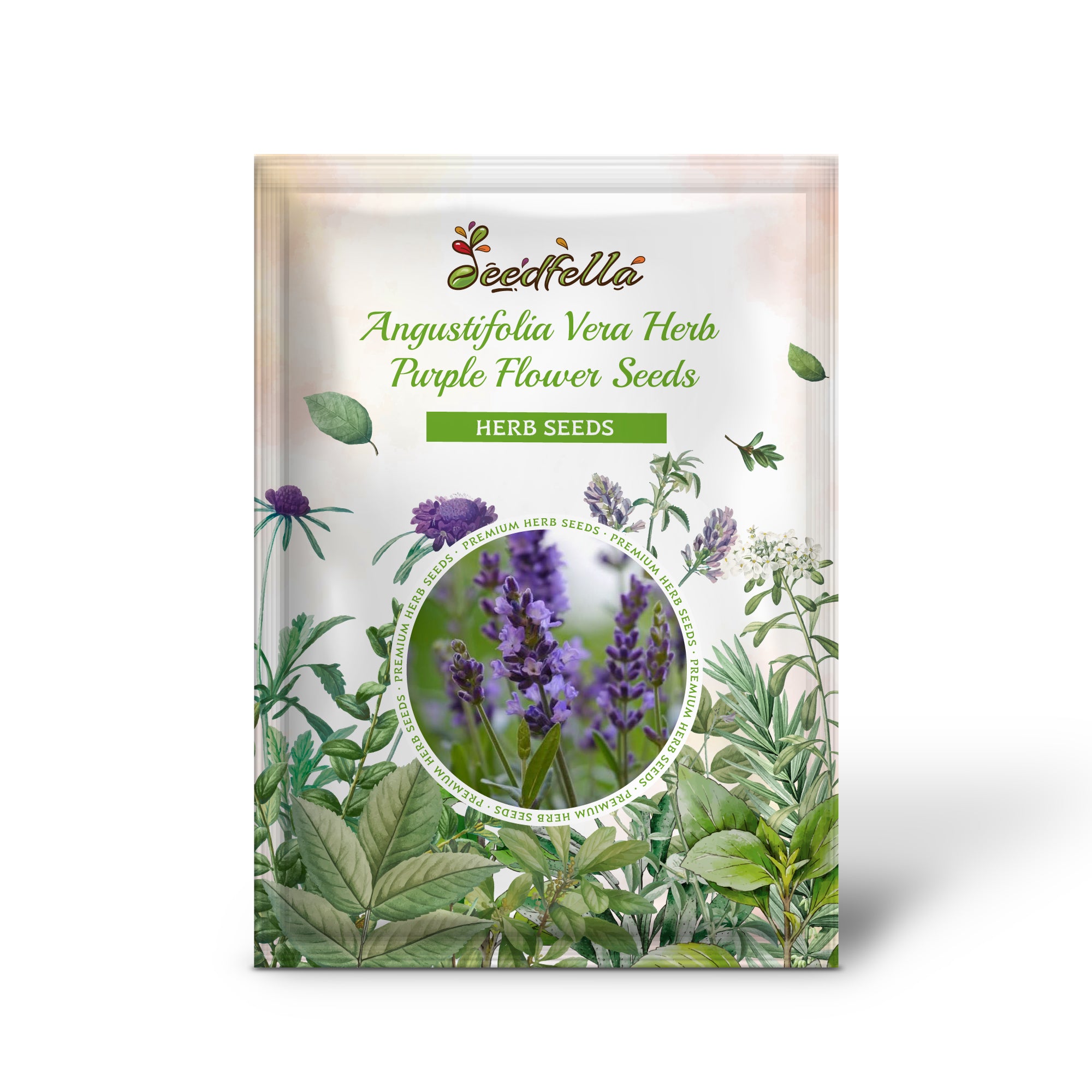 Premium Non-GMO English Lavender Vera Seeds Pack