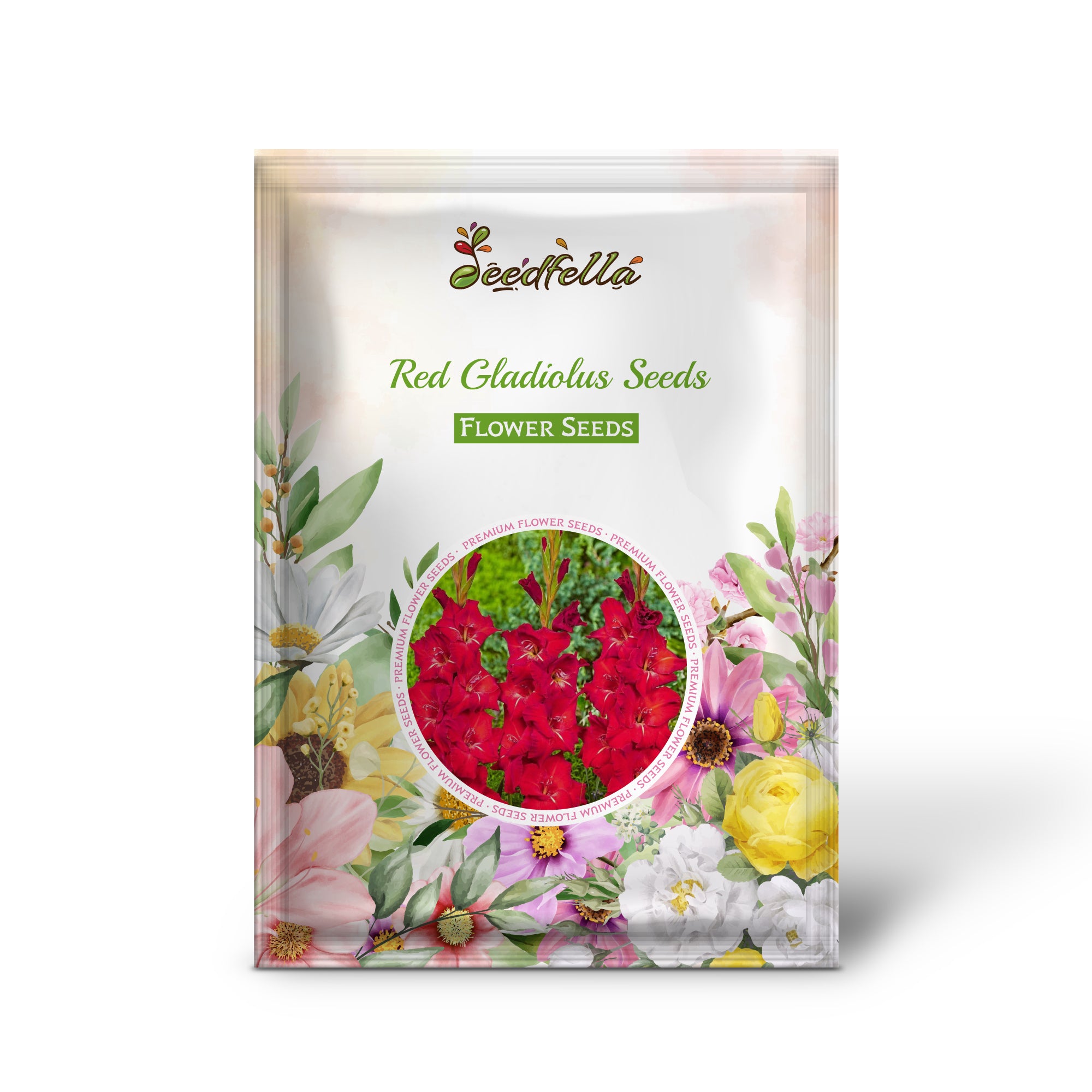 Lavender Tulip flowers in full bloom