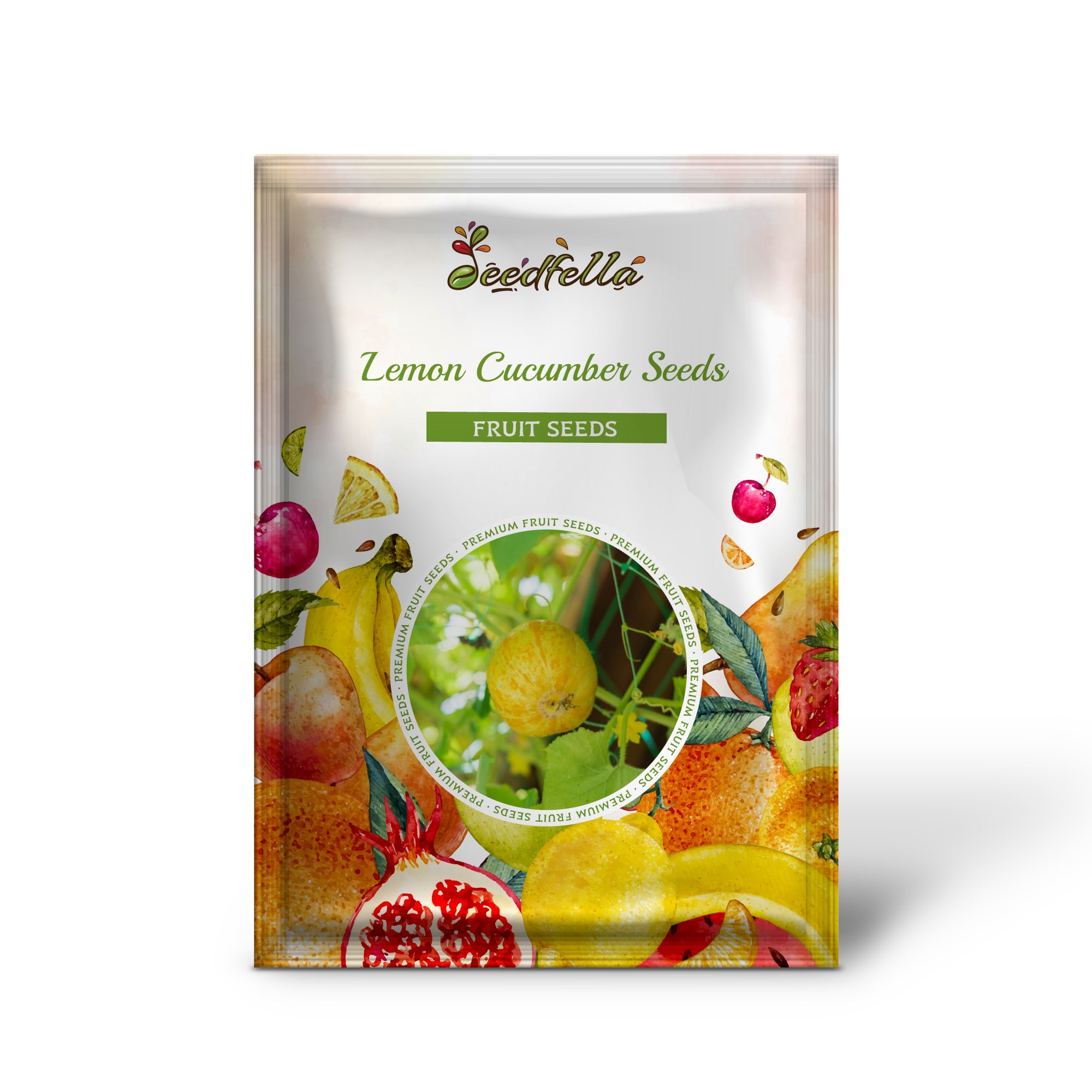 Round yellow Lemon Cucumbers growing on the vine