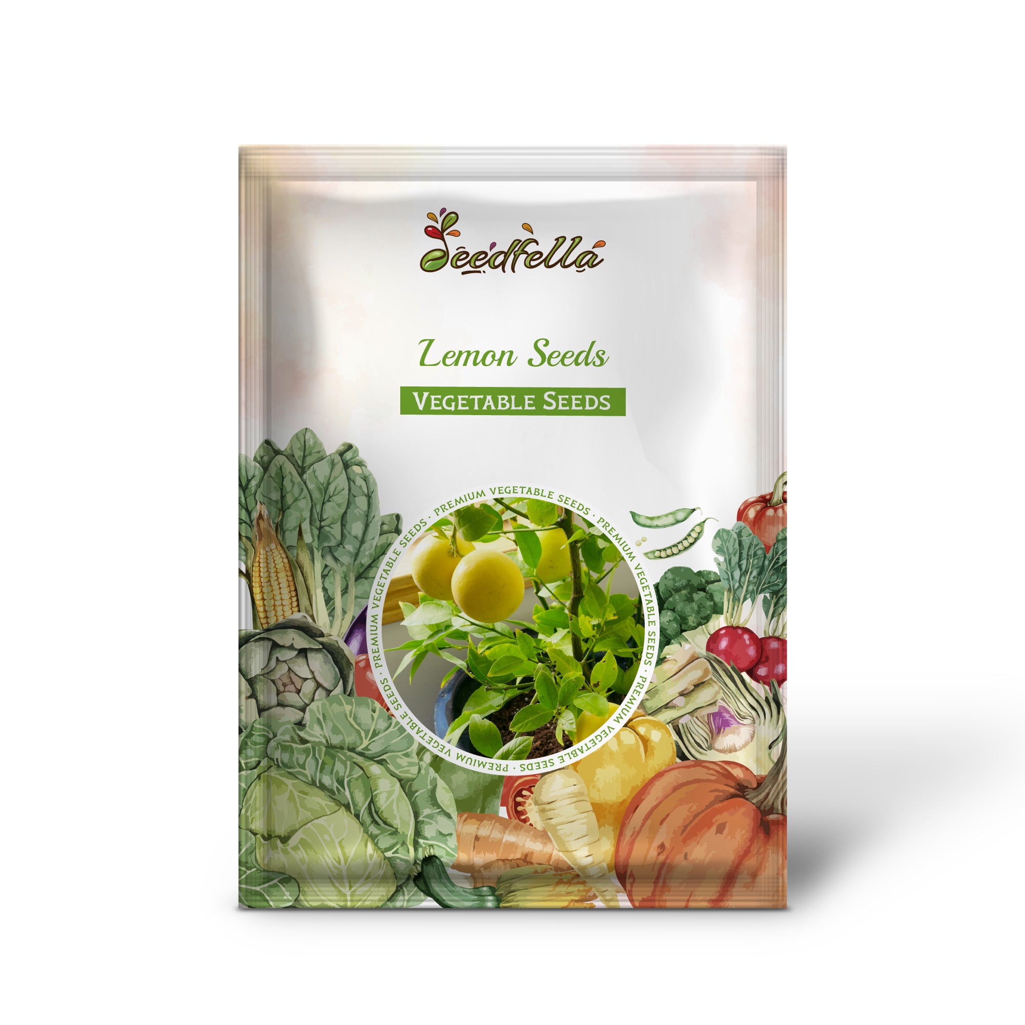 Lemon seeds germinating in warm indoor conditions