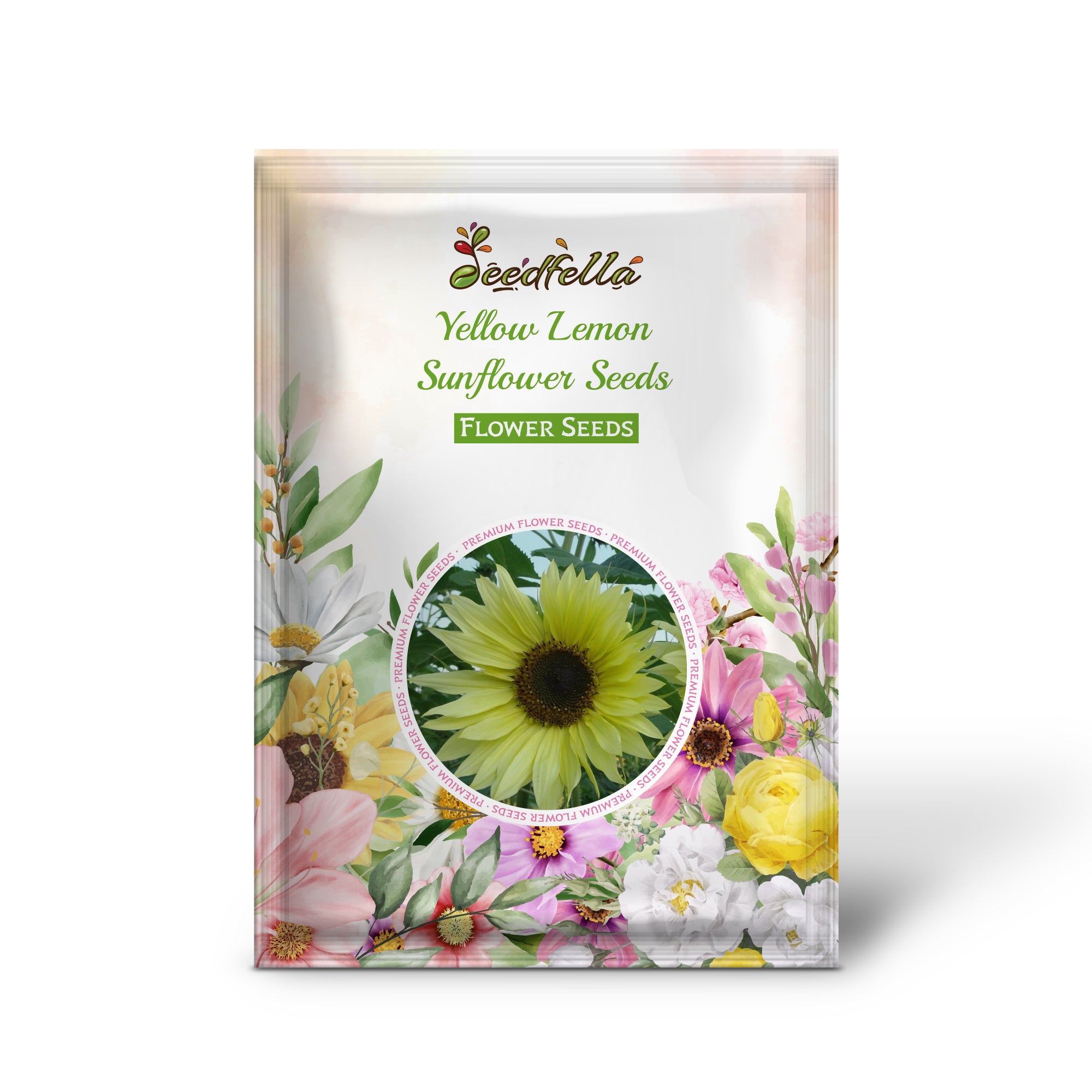 Bright Lemon Sunflower blooms in garden