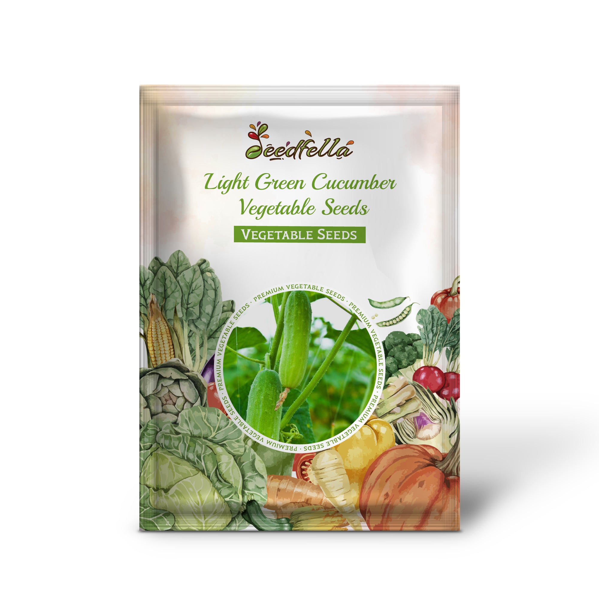 Healthy Light Green Cucumber seedlings ready for transplanting