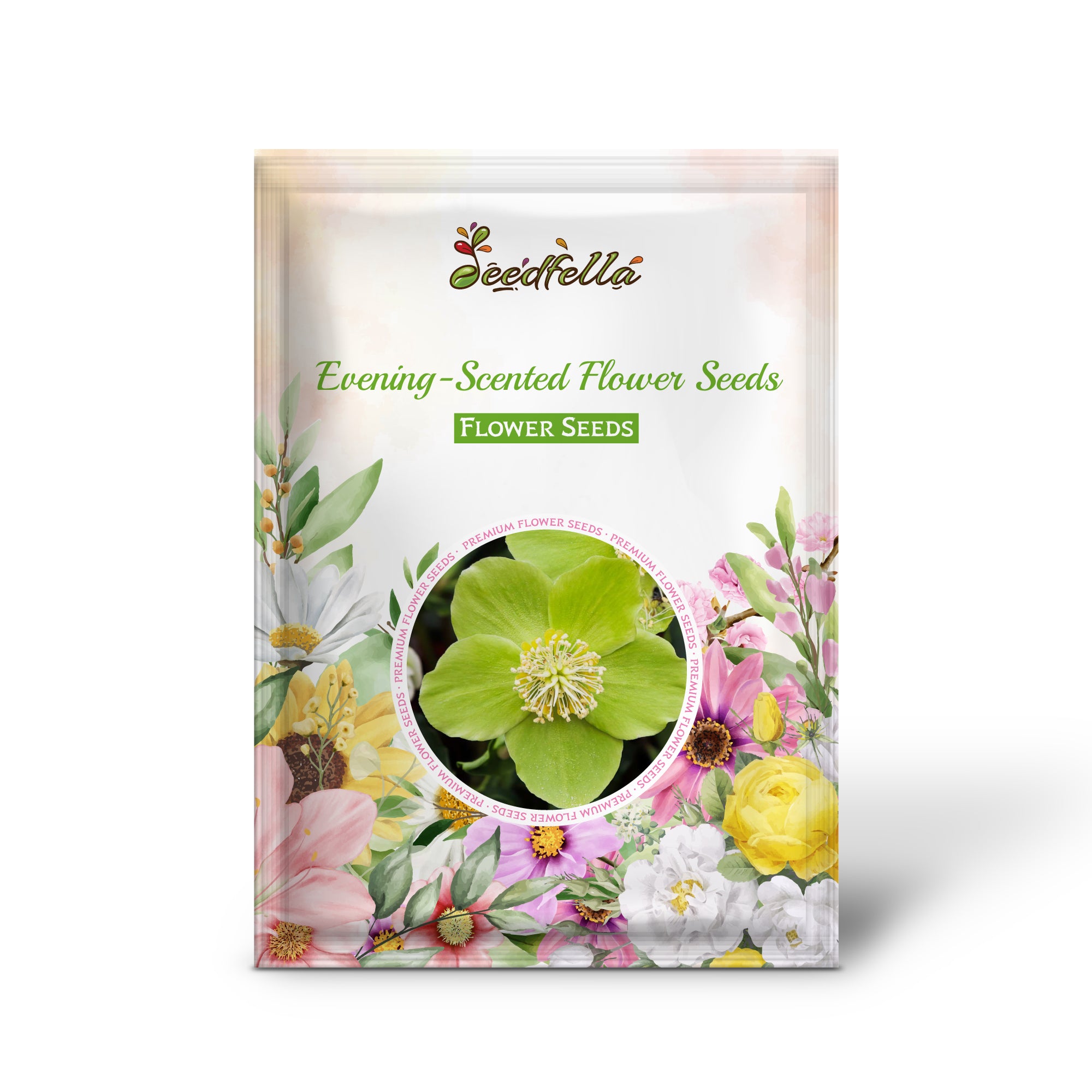 Light Green Evening-Scented Blooms in Home Garden