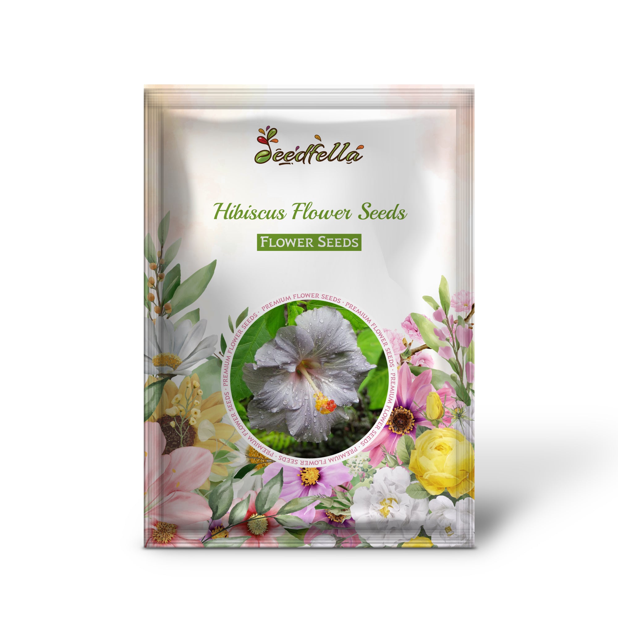 Light Grey Hibiscus Seeds For Planting