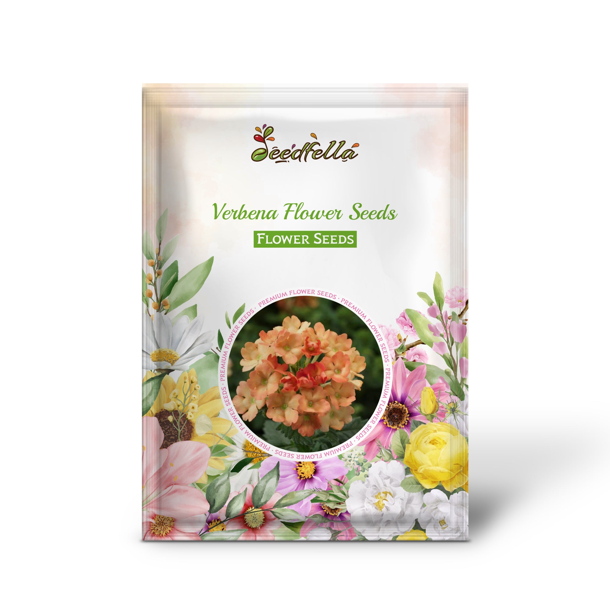 Light Orange Verbena Flowers Blooming in Garden