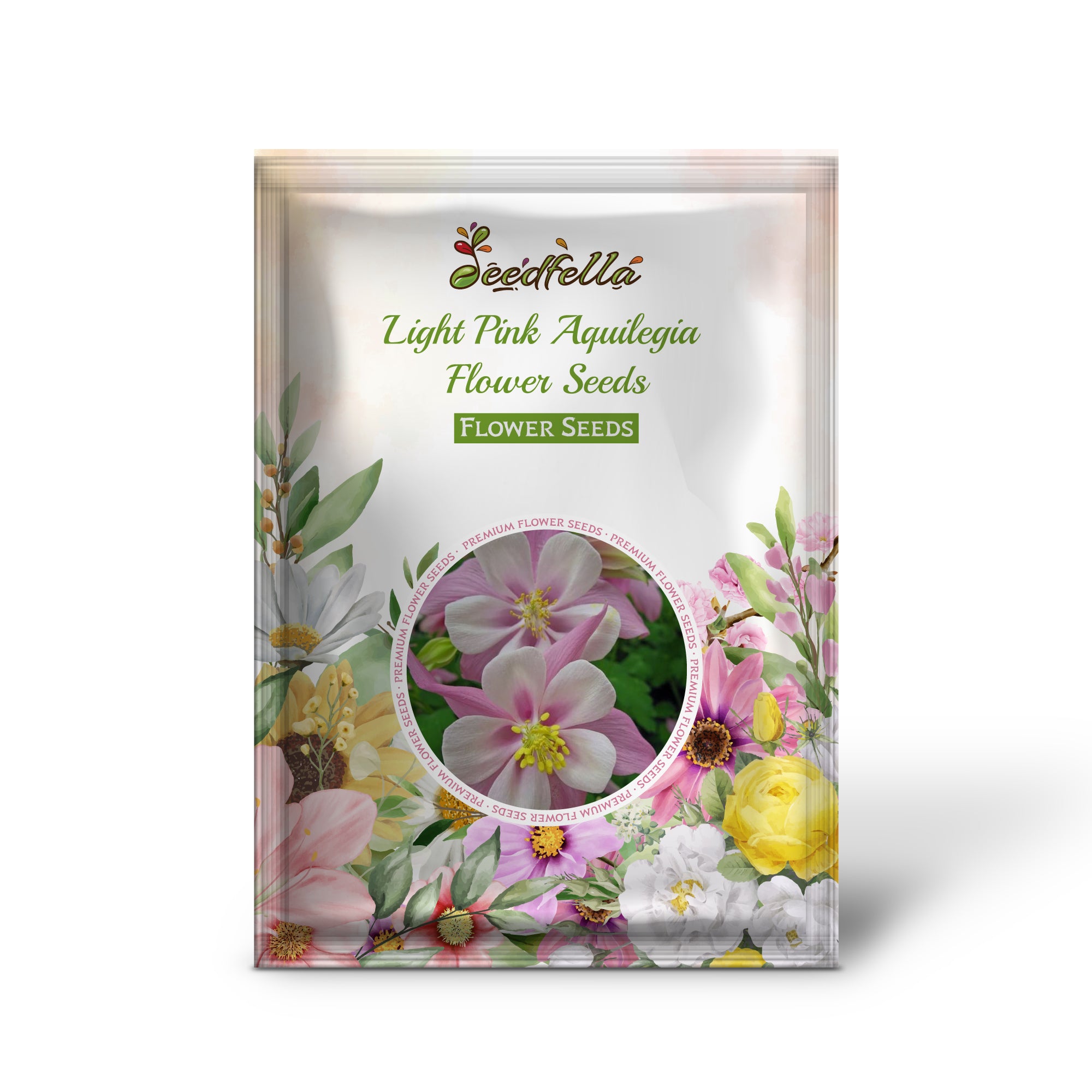 Light Pink Aquilegia flowers in full bloom