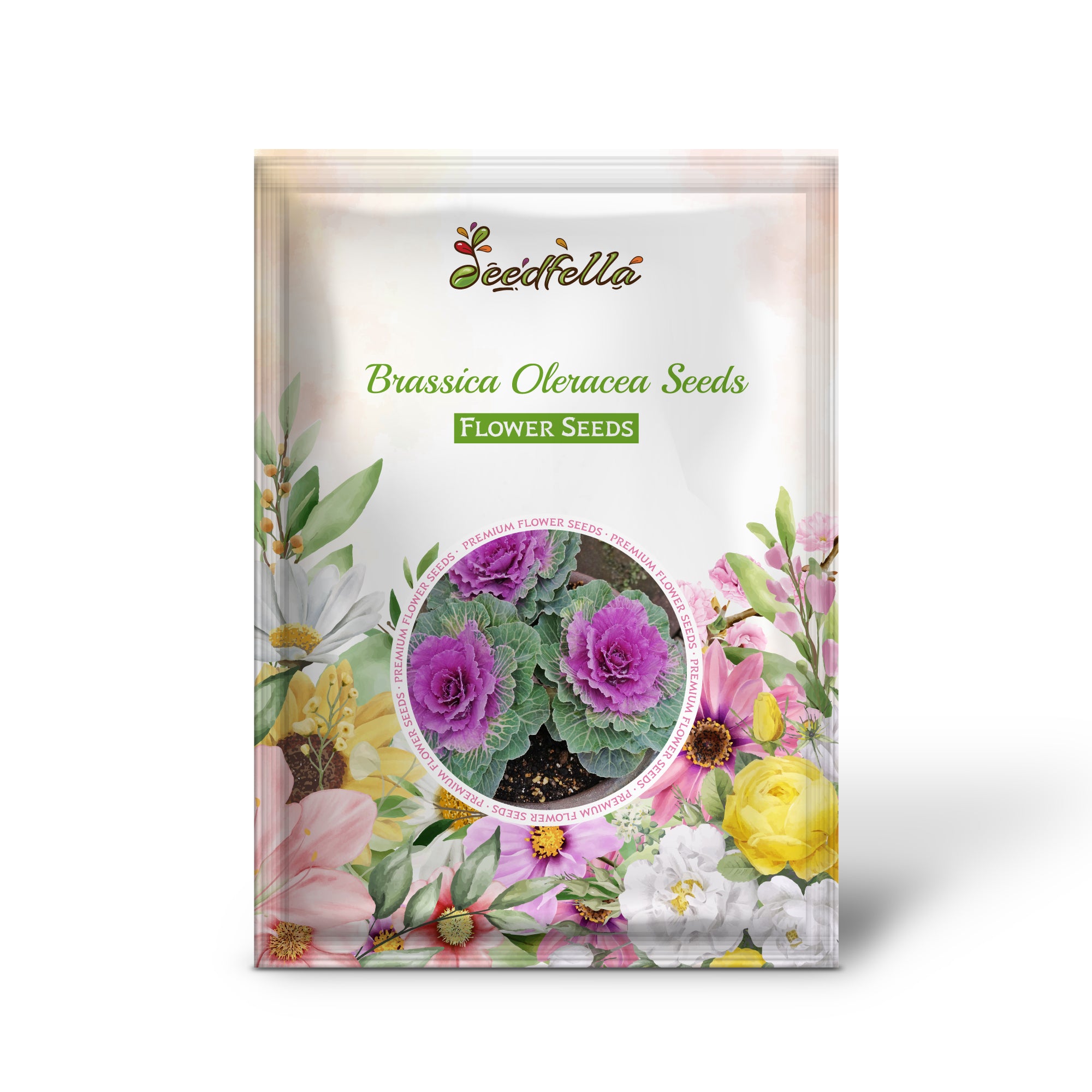 Light Pink Ornamental Brassica Growing in Garden