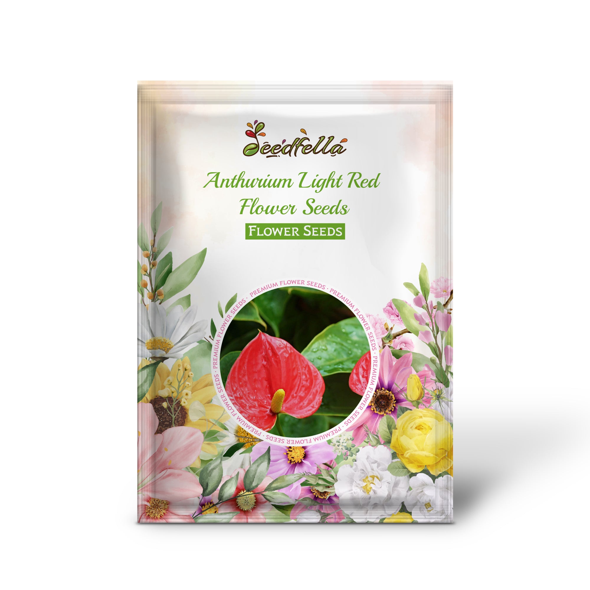 Light Red Anthurium flowers in full bloom