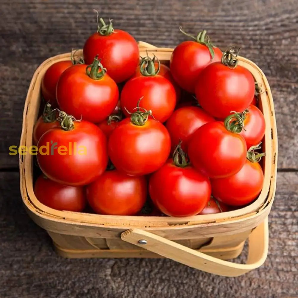 Light Red Tomato Vegetable Seeds For Planting Seeds