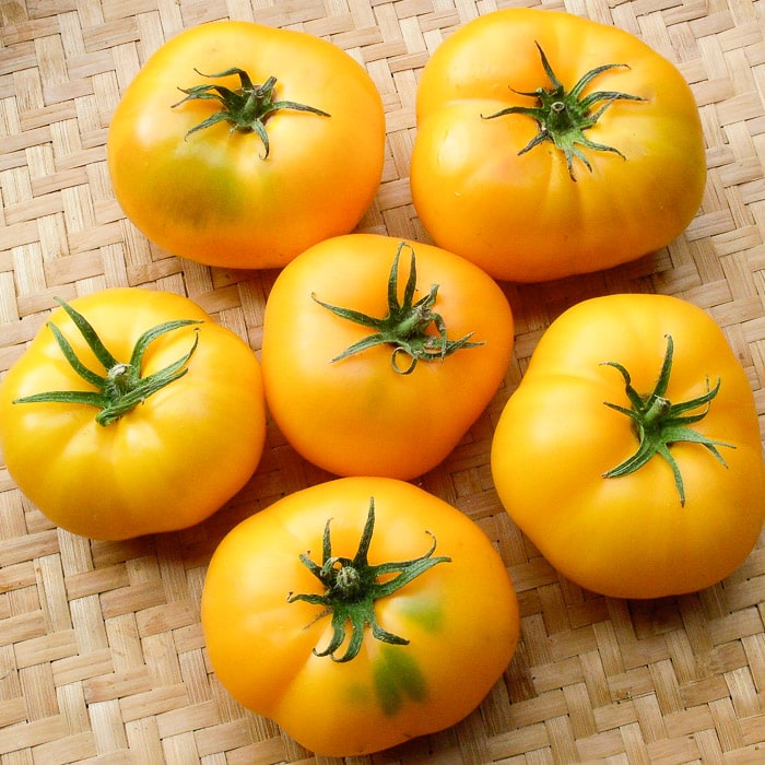 Light yellow giant tomato seeds for planting