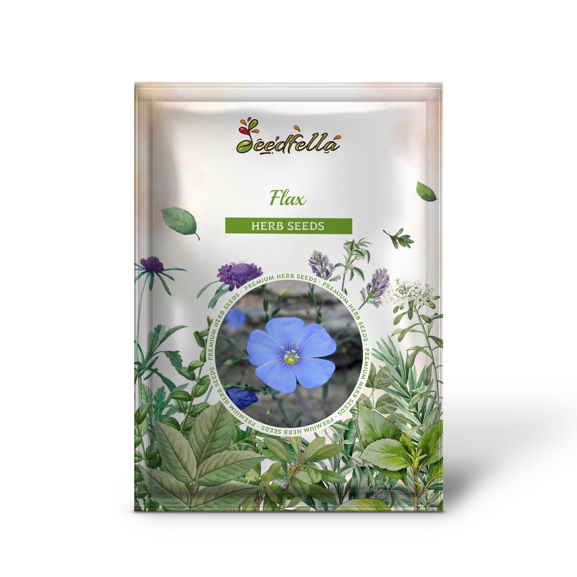 Linum usitatissimum blue flowers grown from seeds