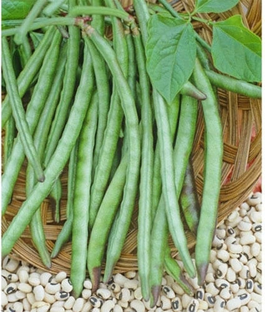 Long bean vegetable seeds for productive gardens