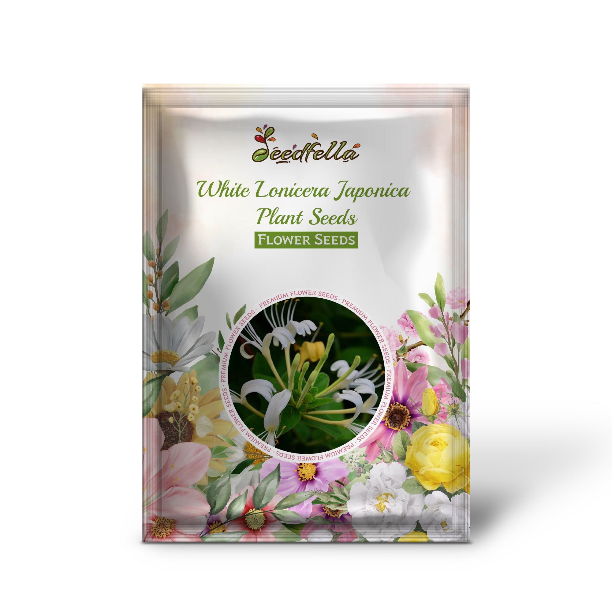 White Honeysuckle Flowers