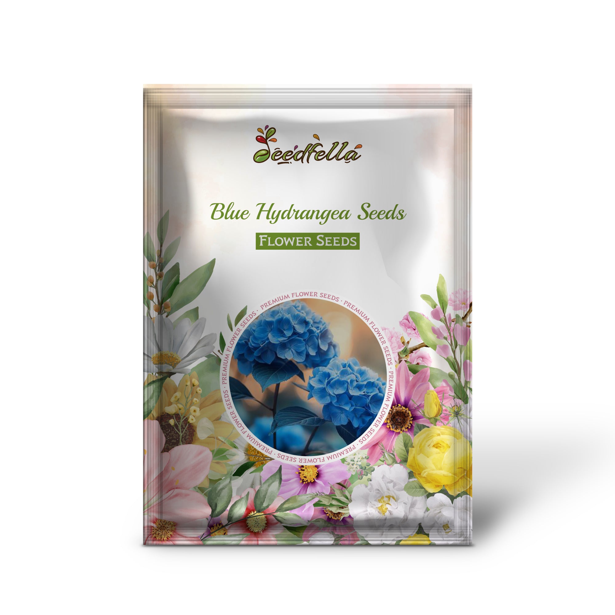 Lush Blue Hydrangea Blooms in Garden