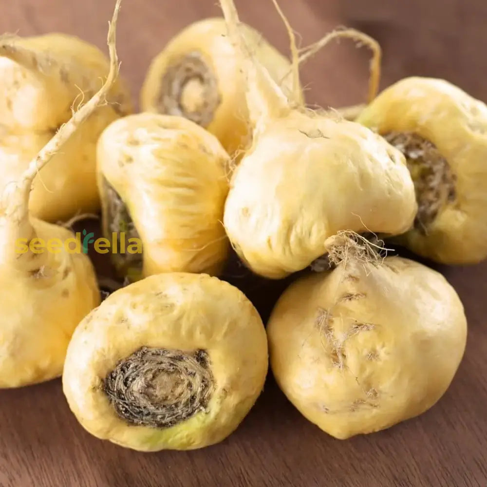 Maca Vegetable Seeds For Easy Planting Seeds