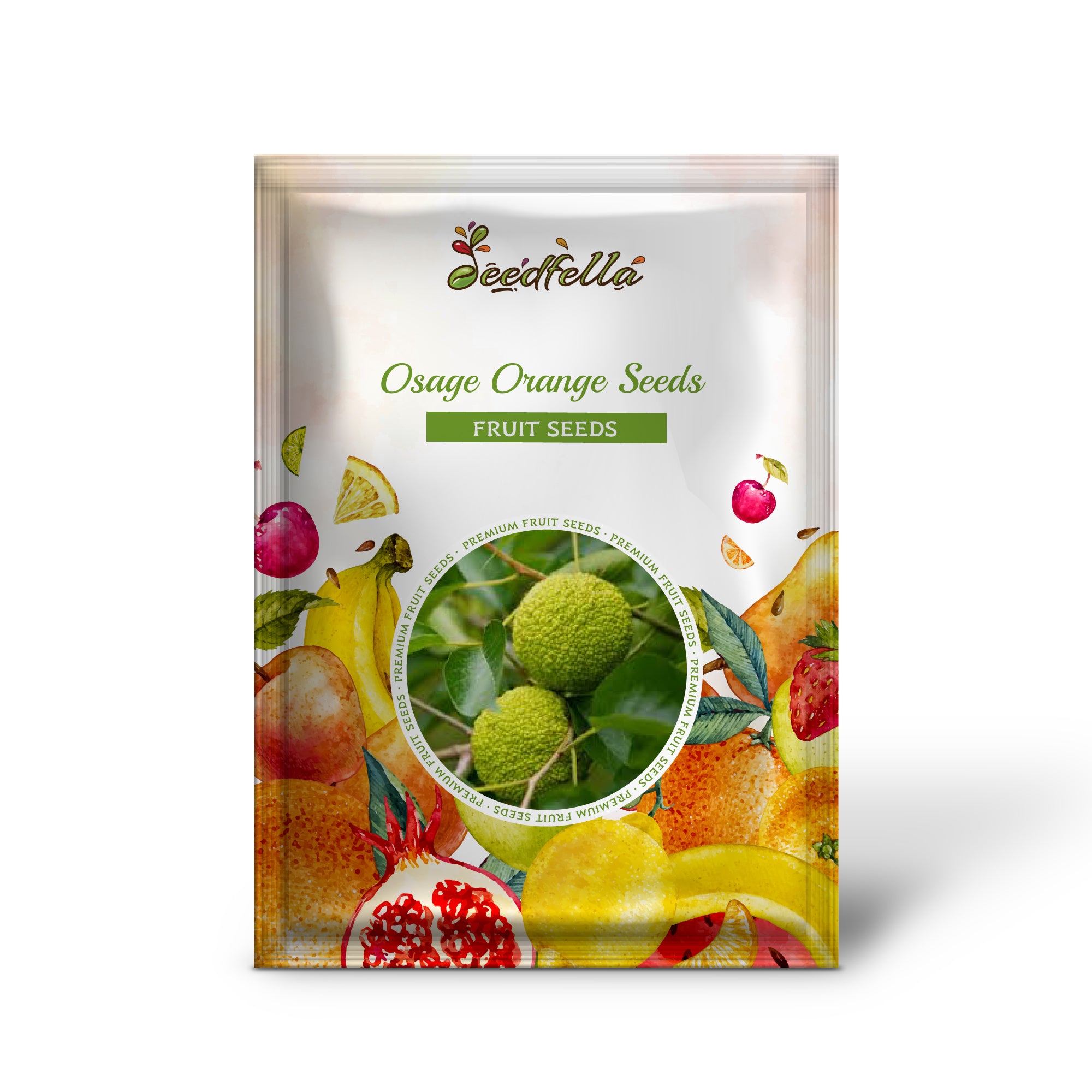 Maclura pomifera non-GMO Osage Orange seed pack