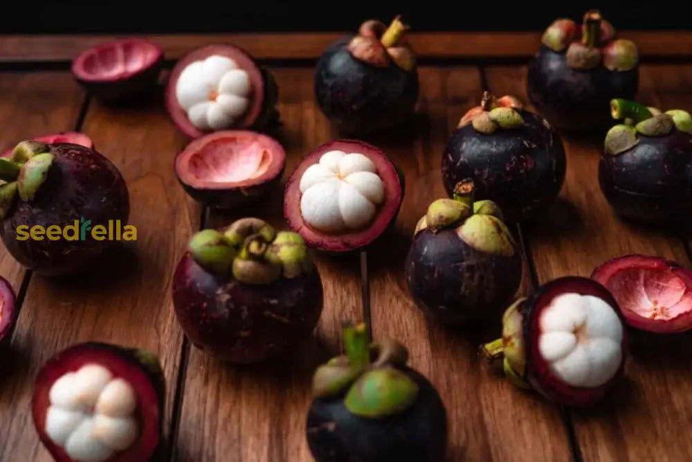 Mangosteen Seeds for Planting Exotic Tropical Fruit