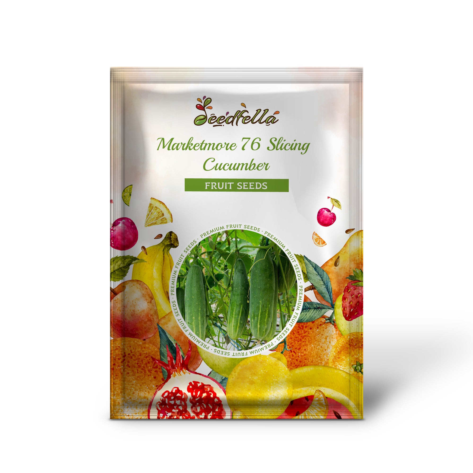 Healthy Marketmore cucumber plant with dark green fruits