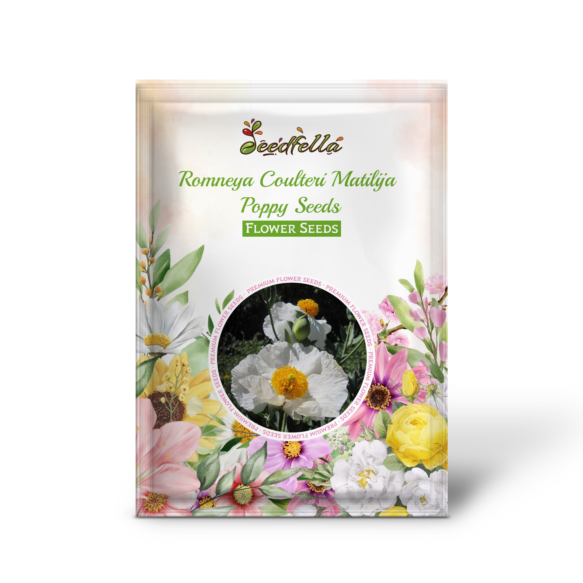 White Matilija Poppy flowers with yellow centers