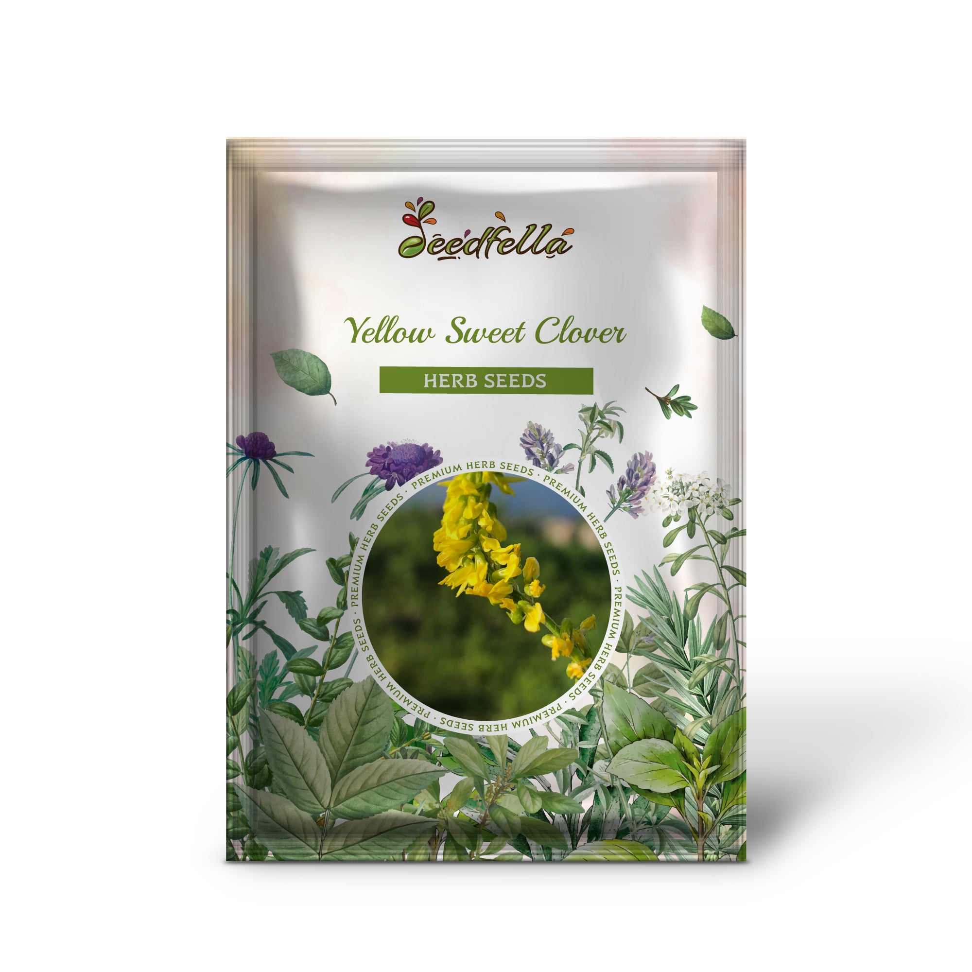 Close-up of Yellow Sweet Clover fragrant yellow flowers