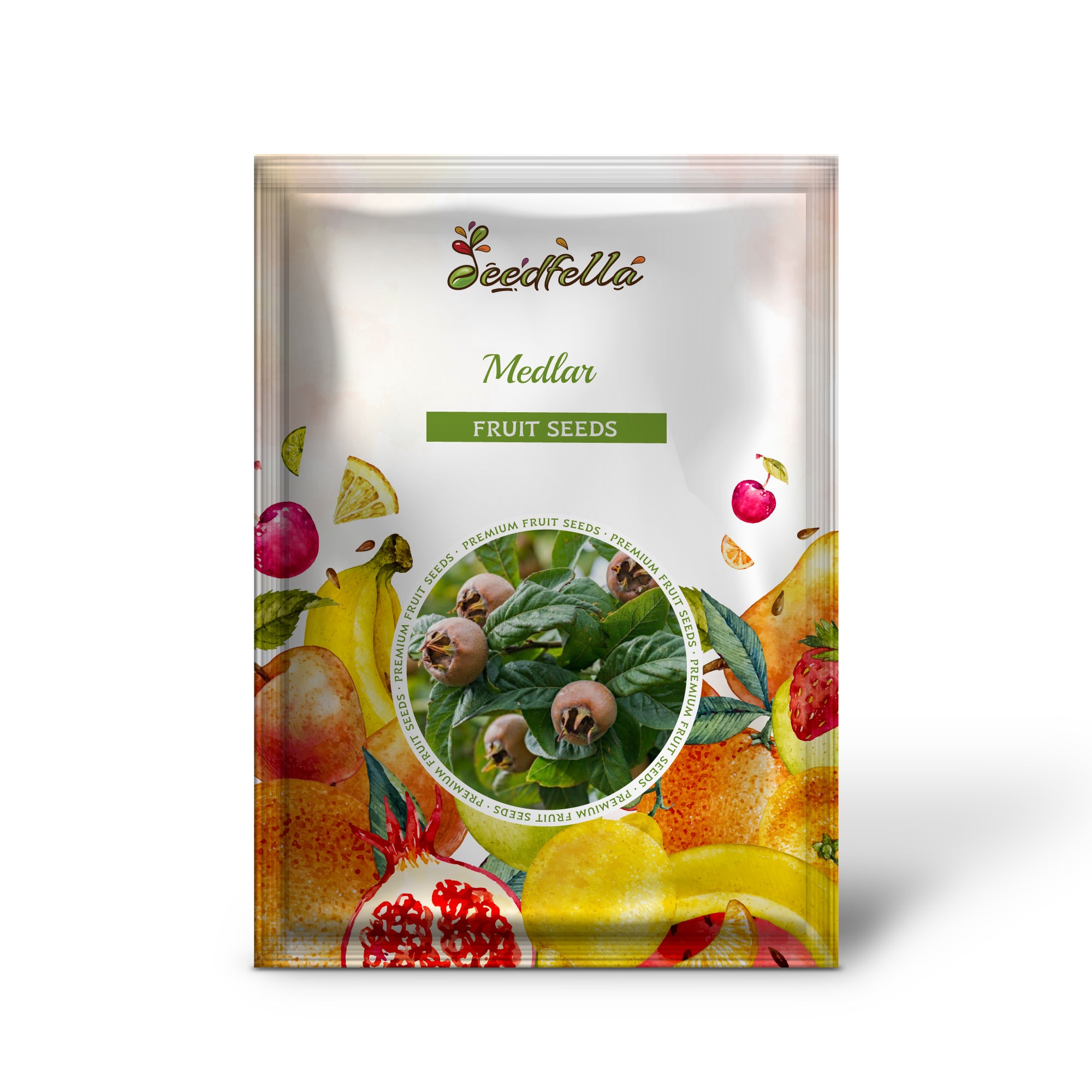 Mespilus germanica medlar seeds producing brown round fruits