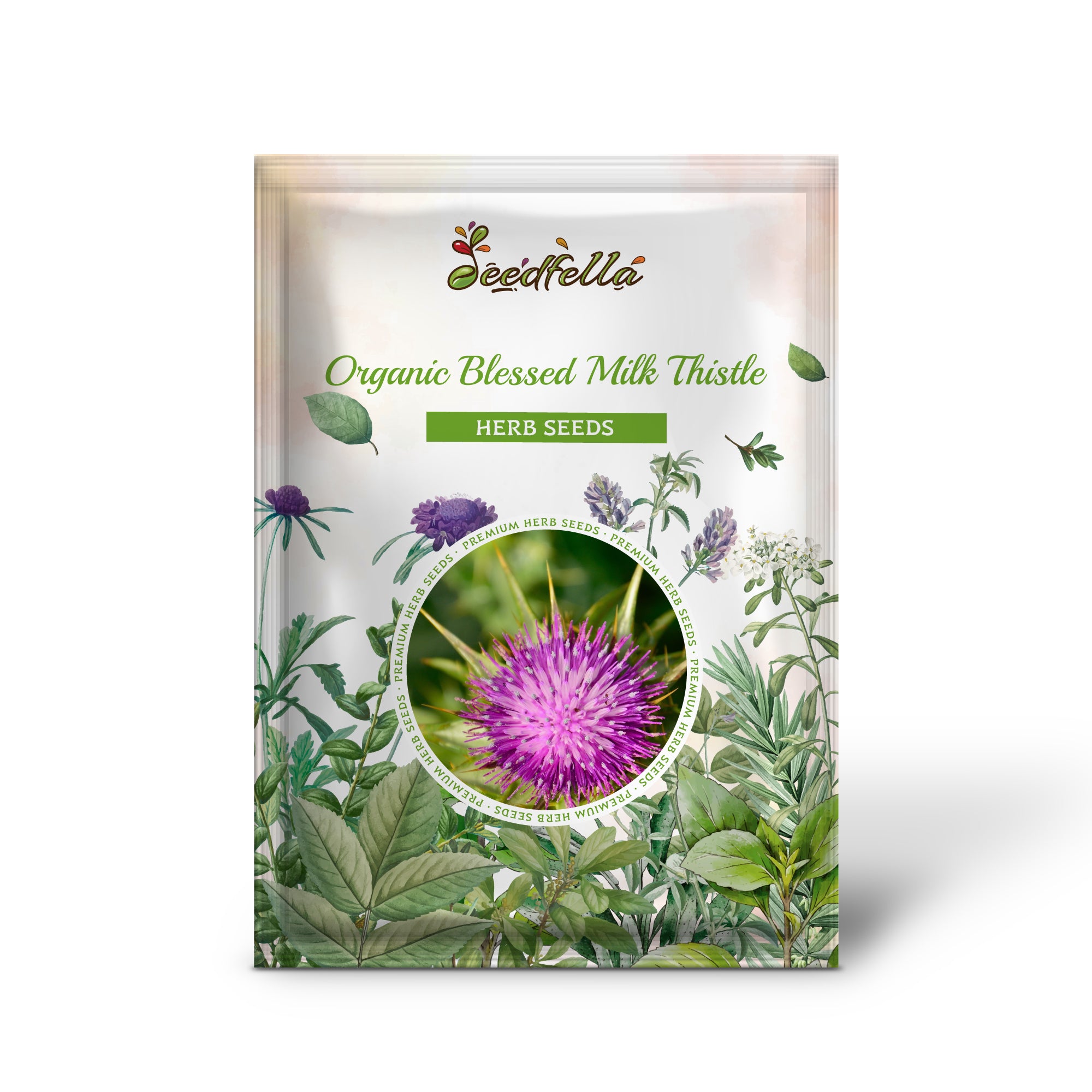 Close-Up of Purple Milk Thistle Flowers Blooming in Garden