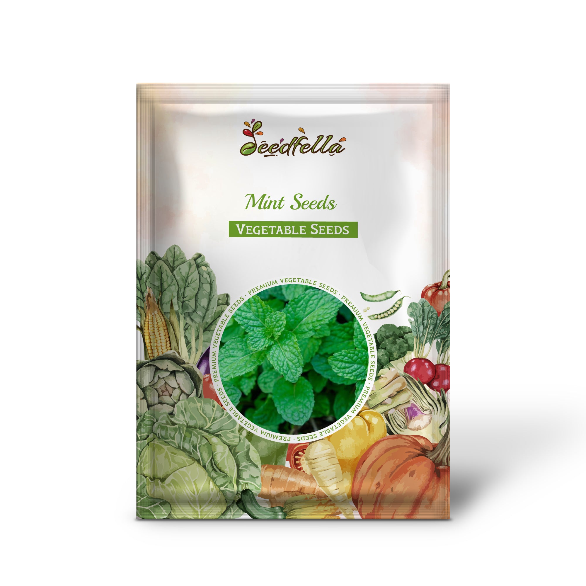 Mint seedlings sprouting in moist garden soil