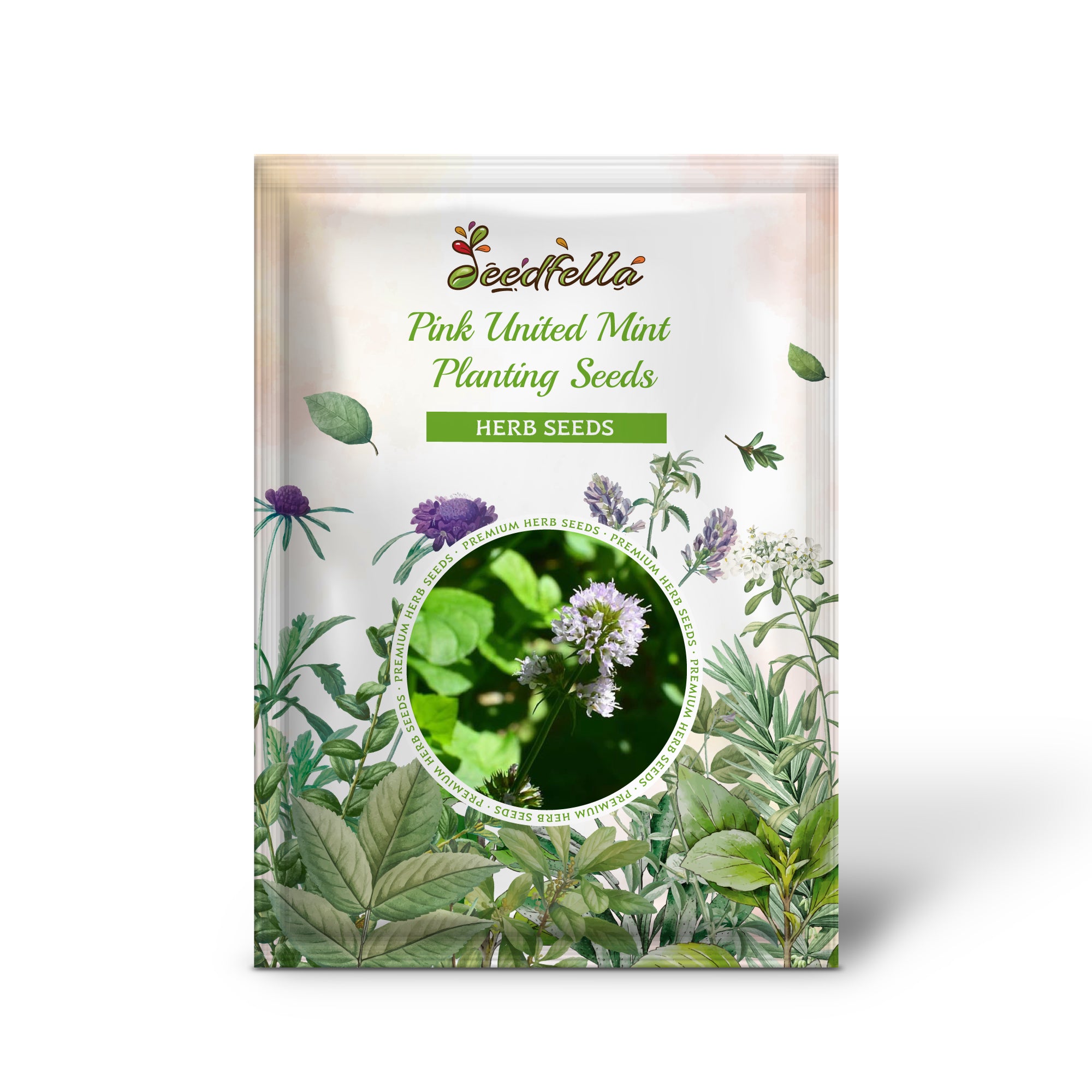 Mint Seeds – Non-GMO Pink United Variety for Gardens