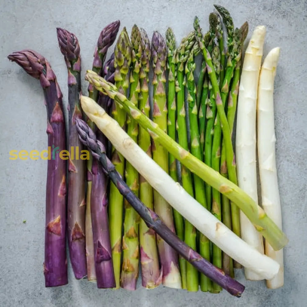 Mixed Asparagus seeds for planting