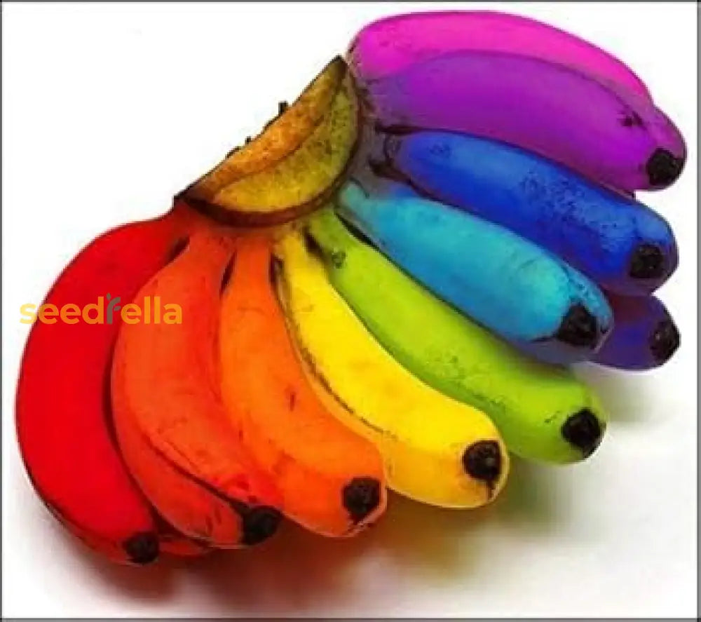 Mixed Banana Fruit Seeds For Planting