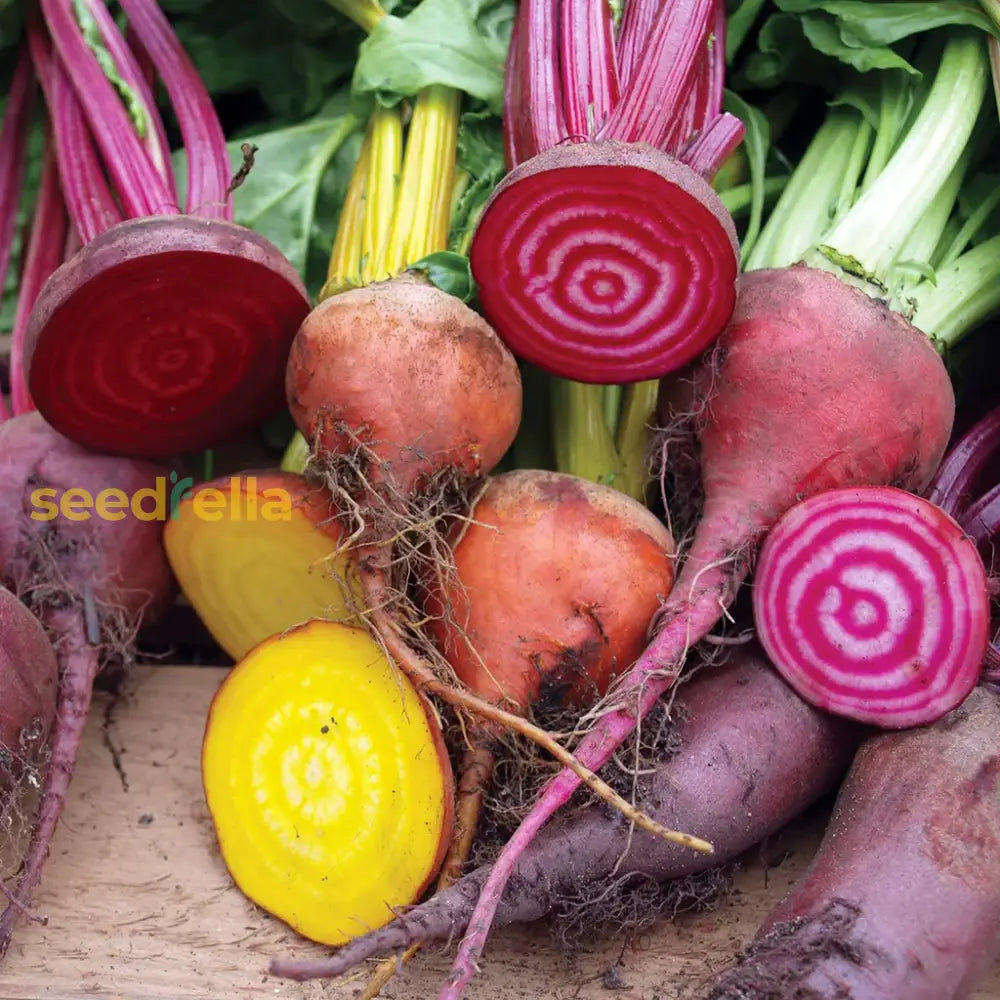 Mixed Beetroot Seeds - Cultivate A Nutritious Harvest