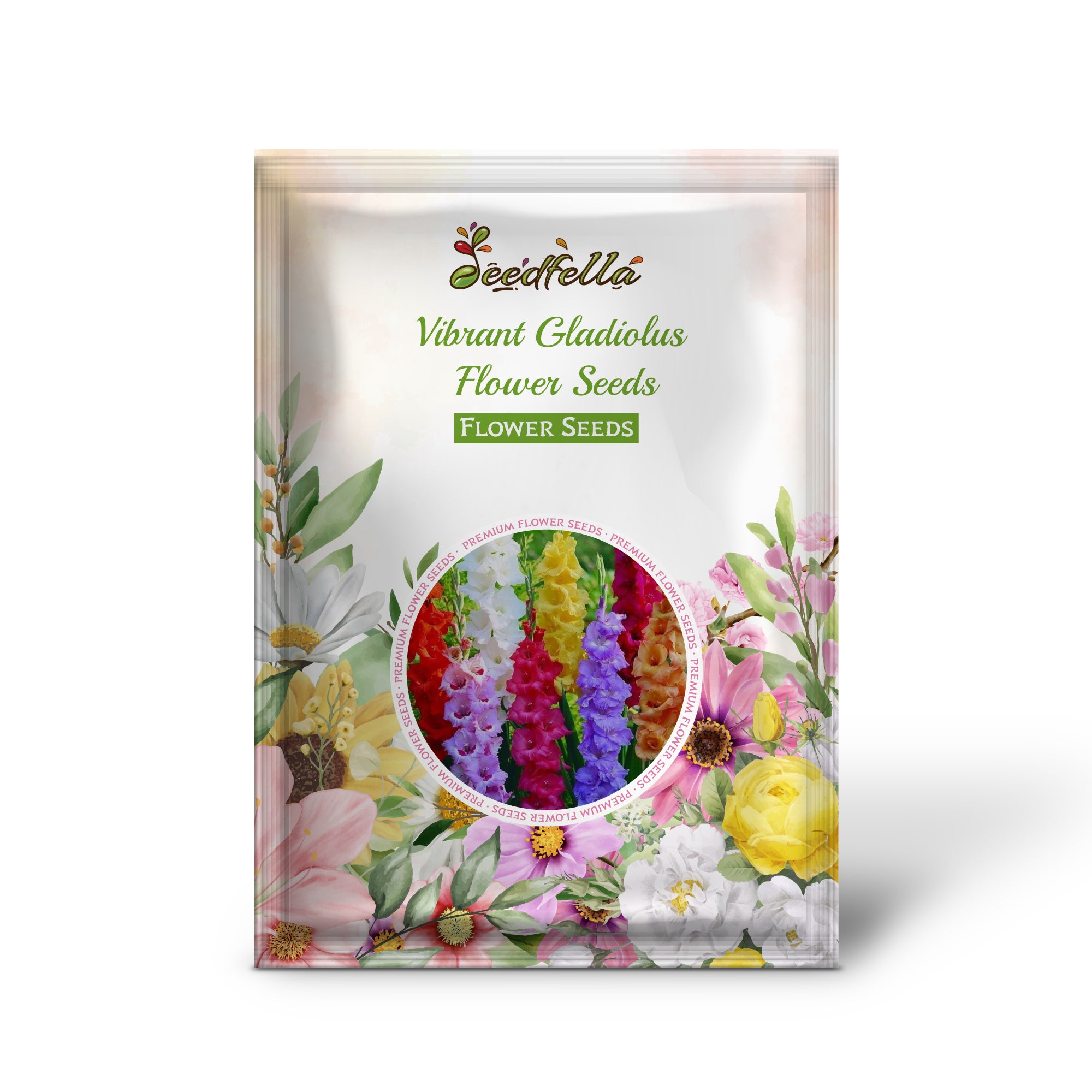 Mixed Color Gladiolus Flowers in Garden