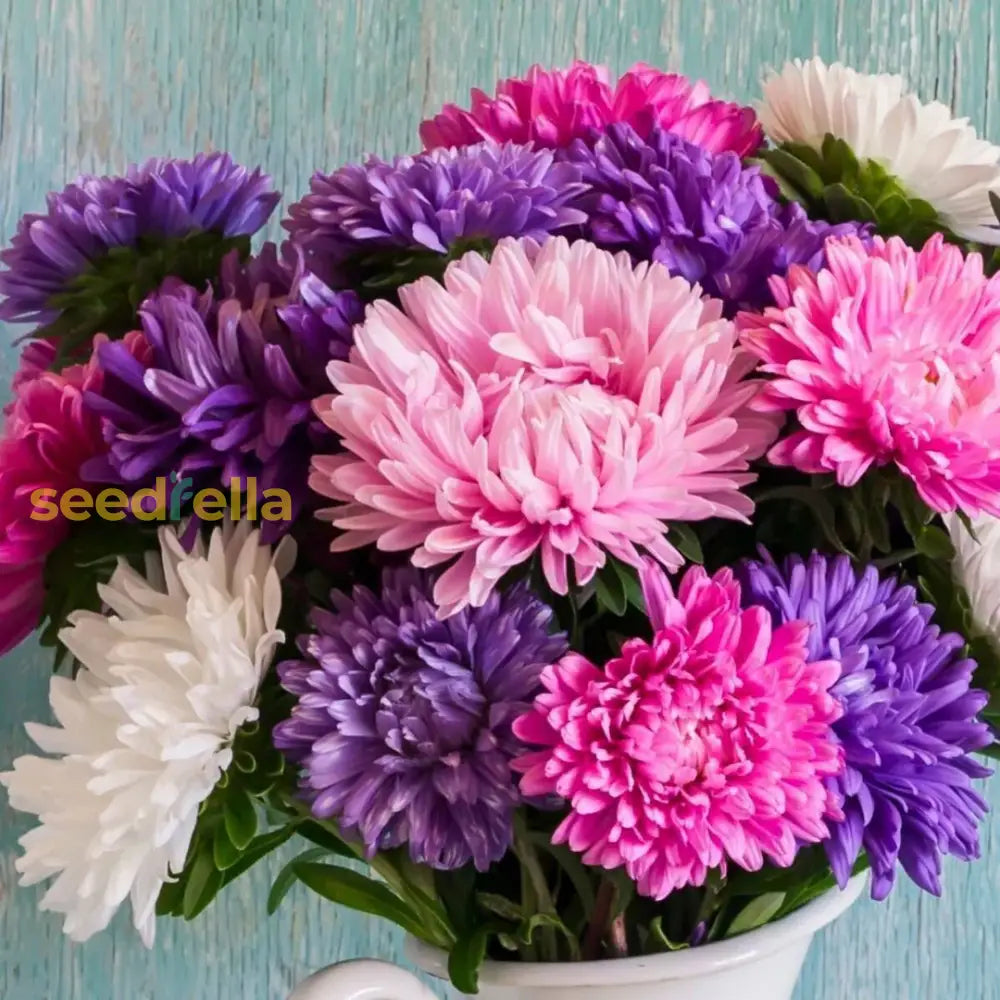 Mixed Crego Flower Seeds Planting Pack For Vibrant Garden Blooms